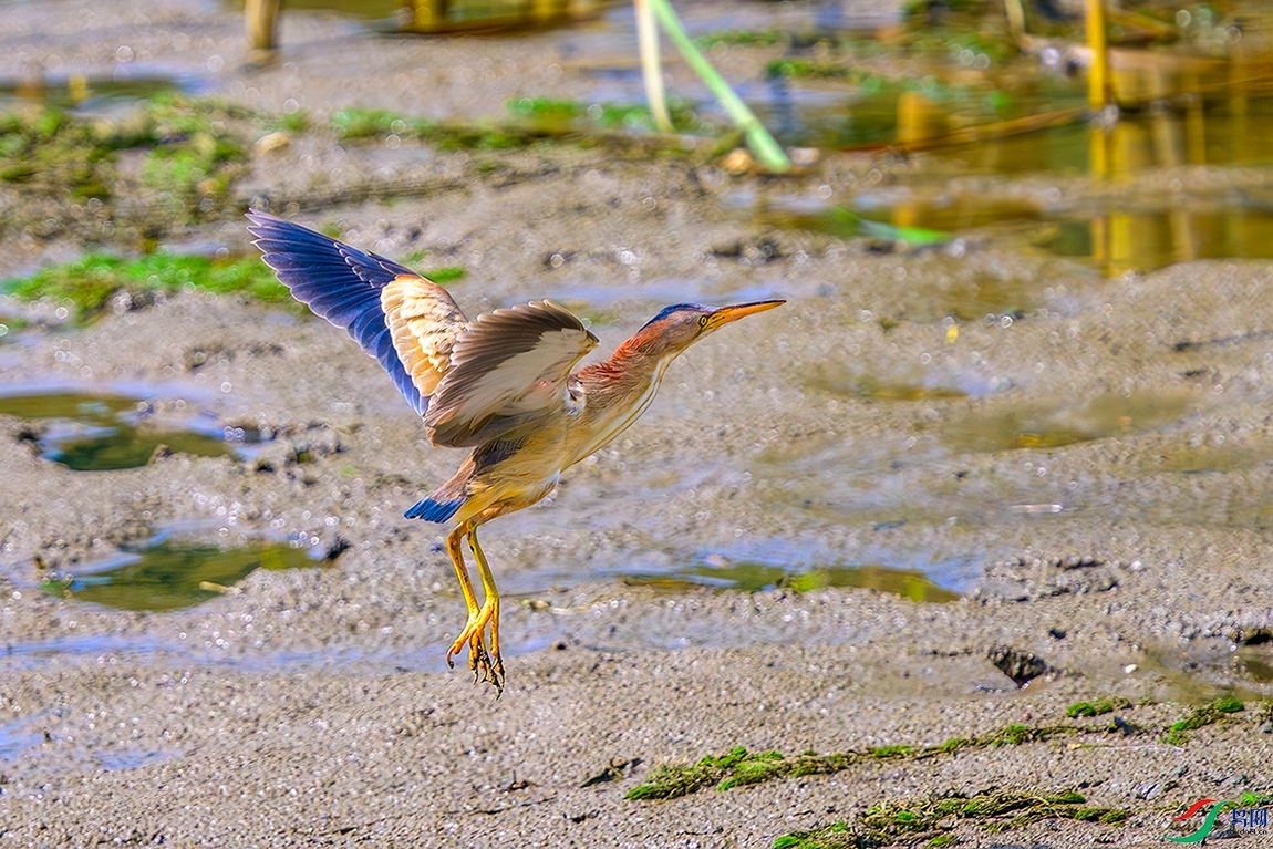 DSC_1876b.jpg
