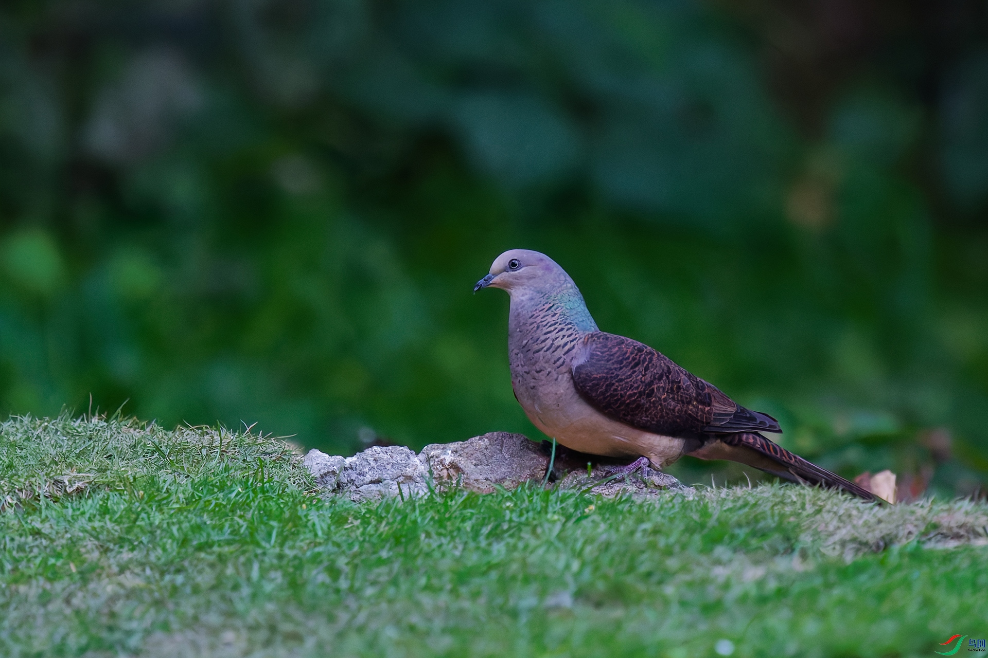 4DSC_9048_DxO_DxOa.jpg
