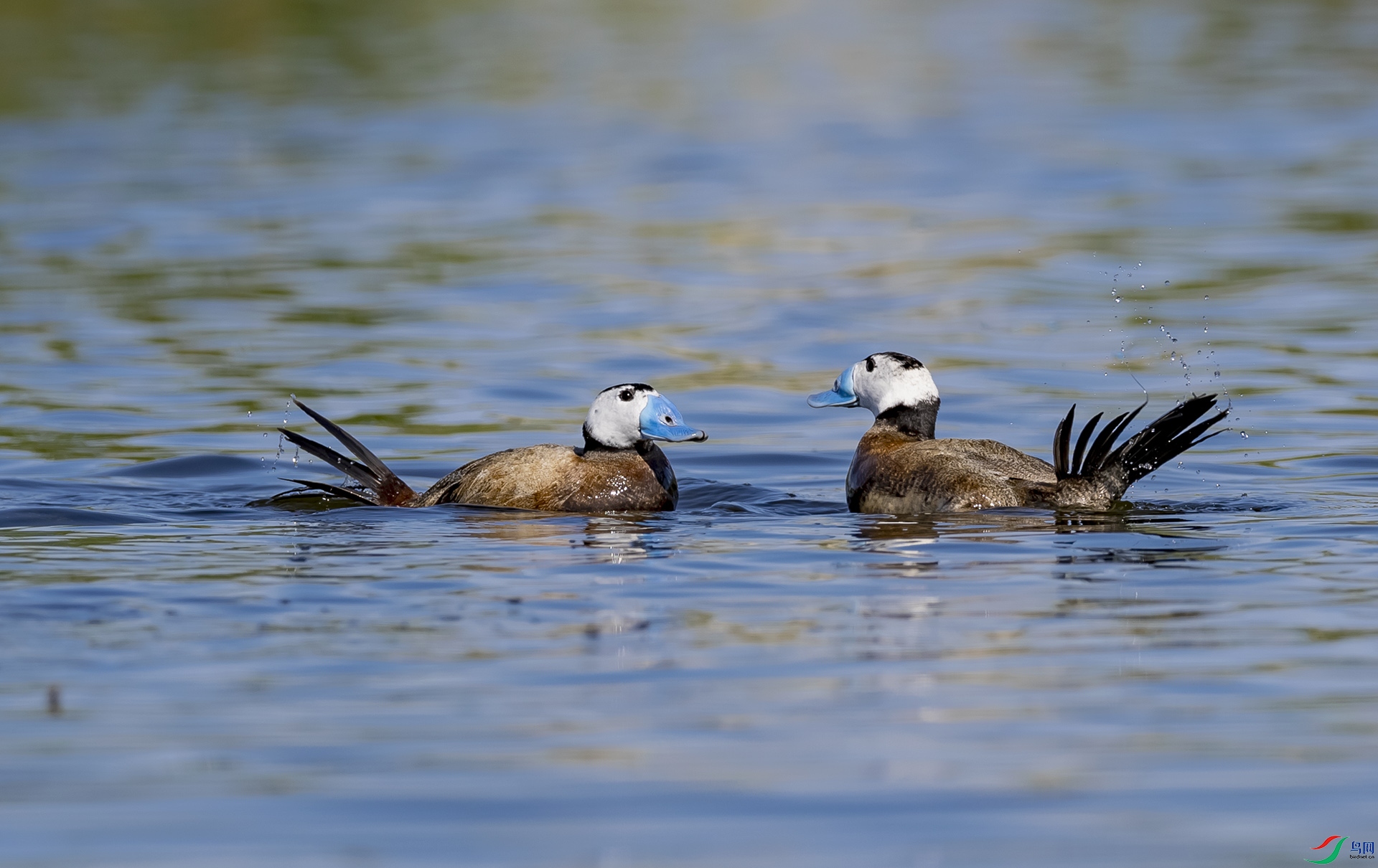 027A6756.jpg