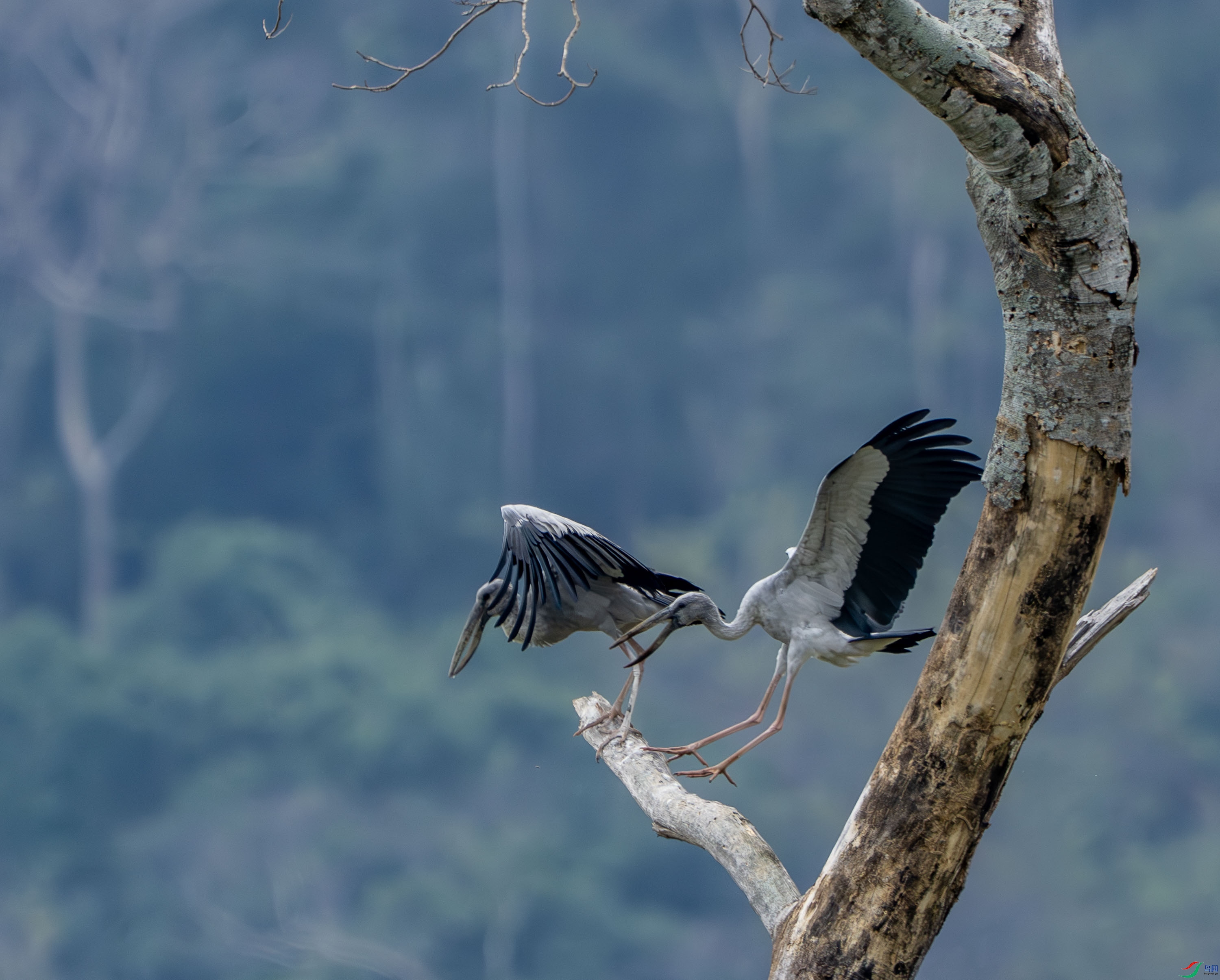 ǯ����-14-2.jpg