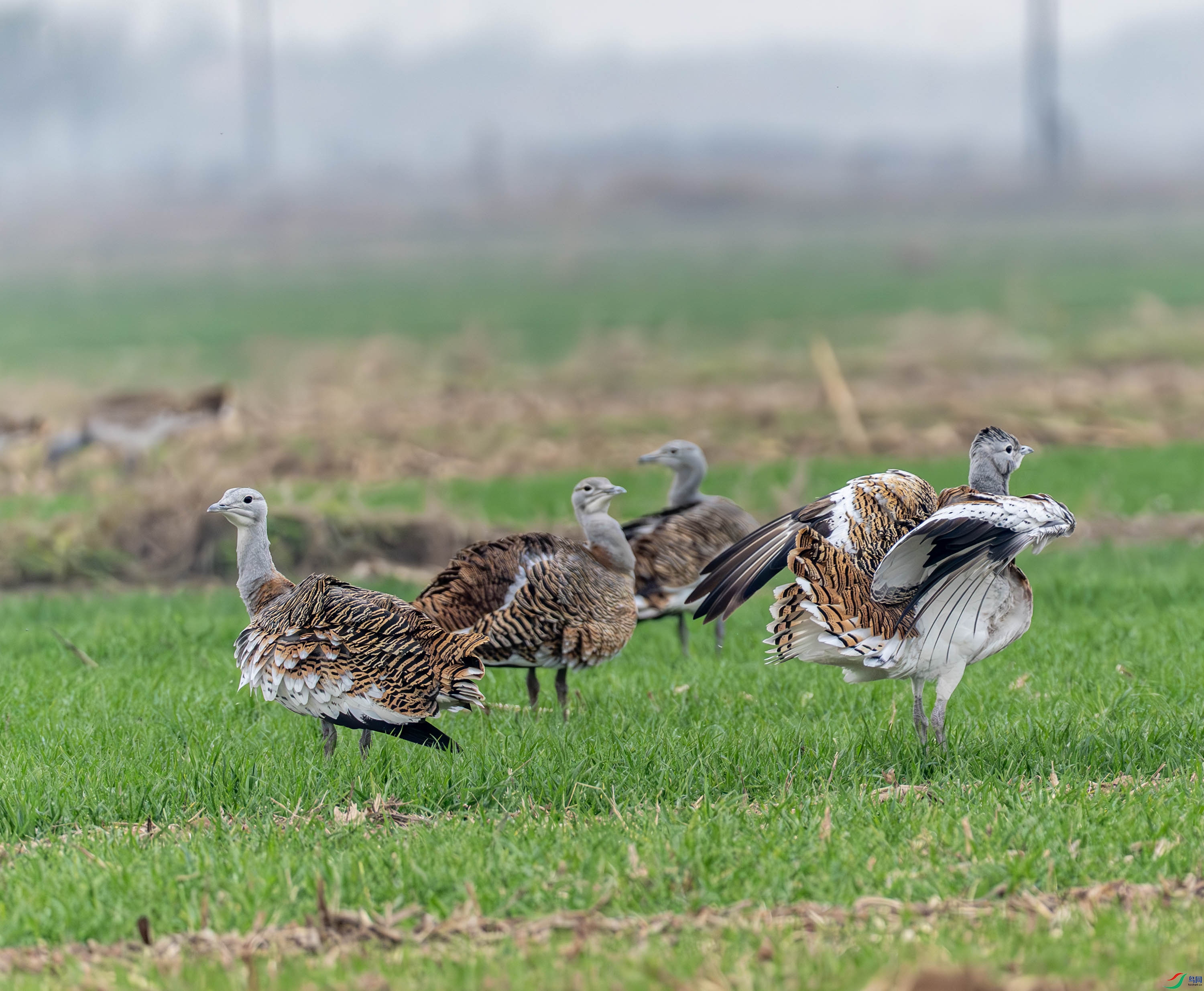���-14-26.jpg