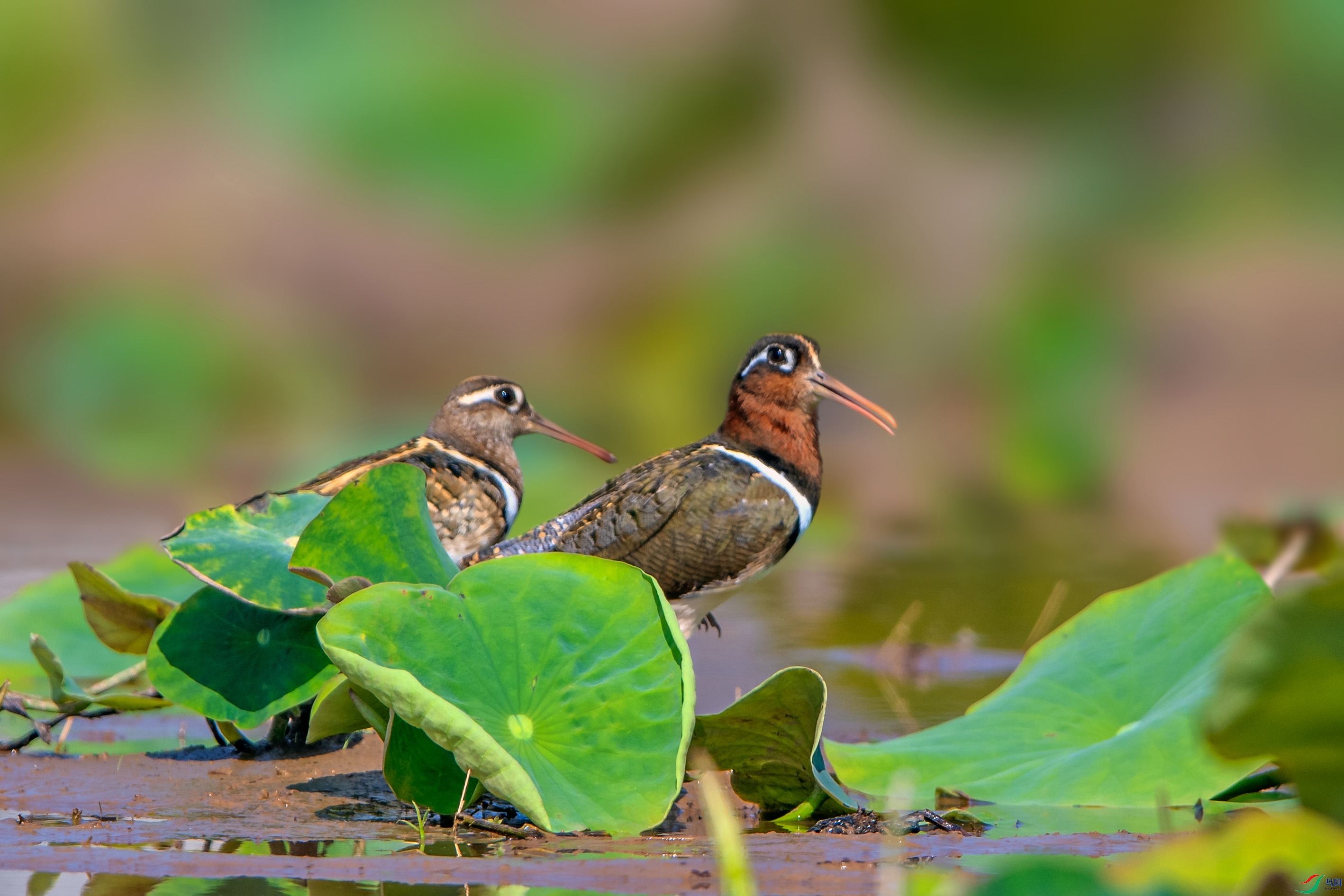 _AUU3043����(24.5.5).jpg