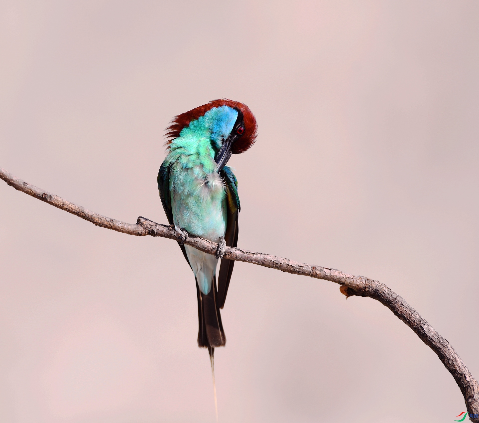 DSC_5849.jpg