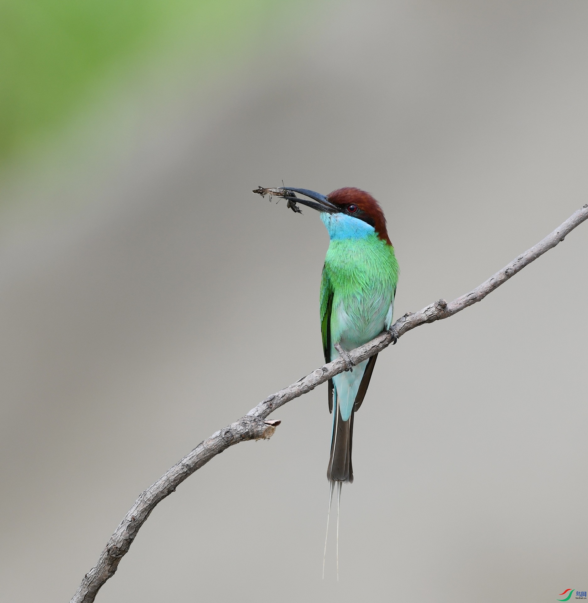 DSC_2719.jpg