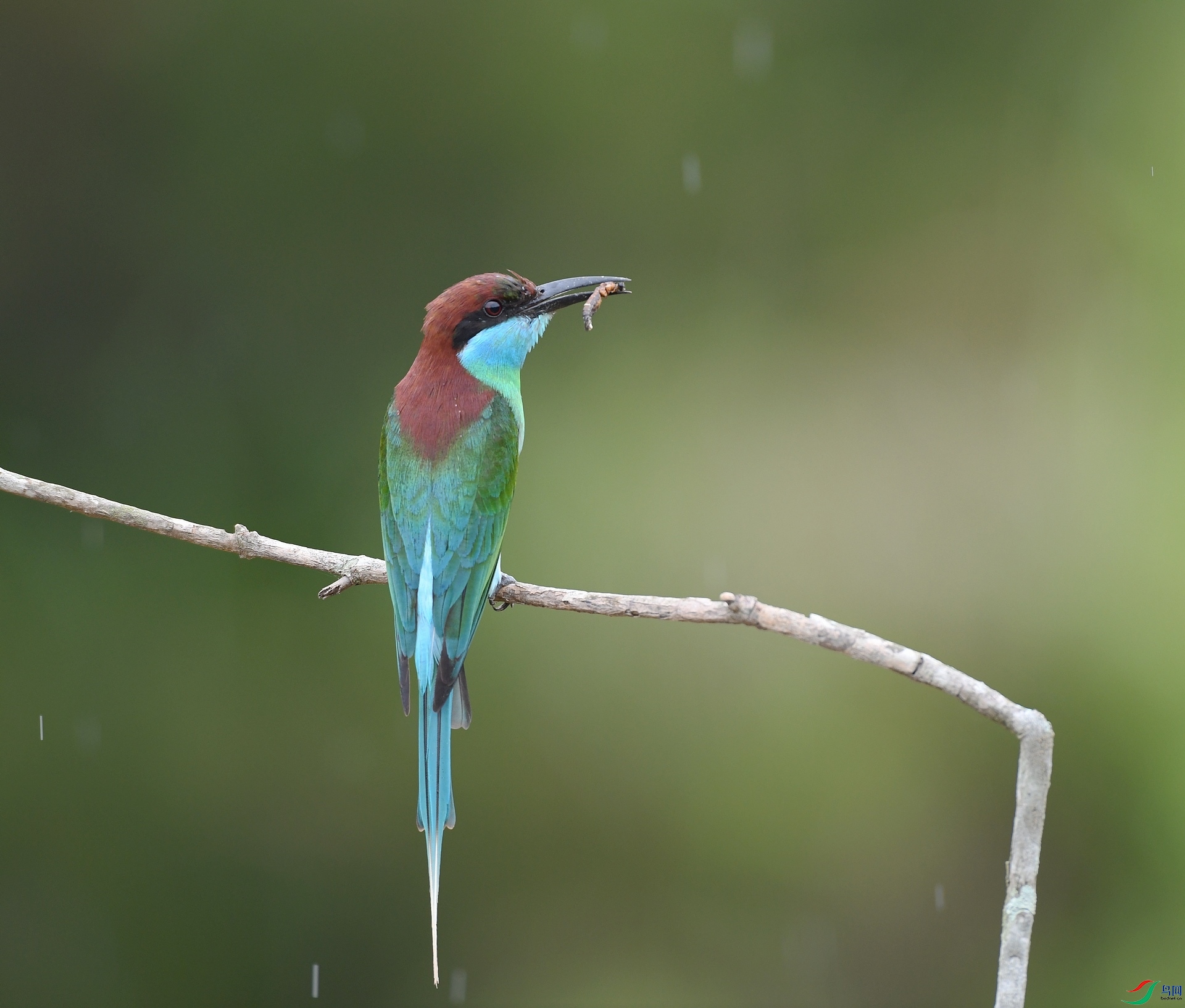 DSC_1734.jpg