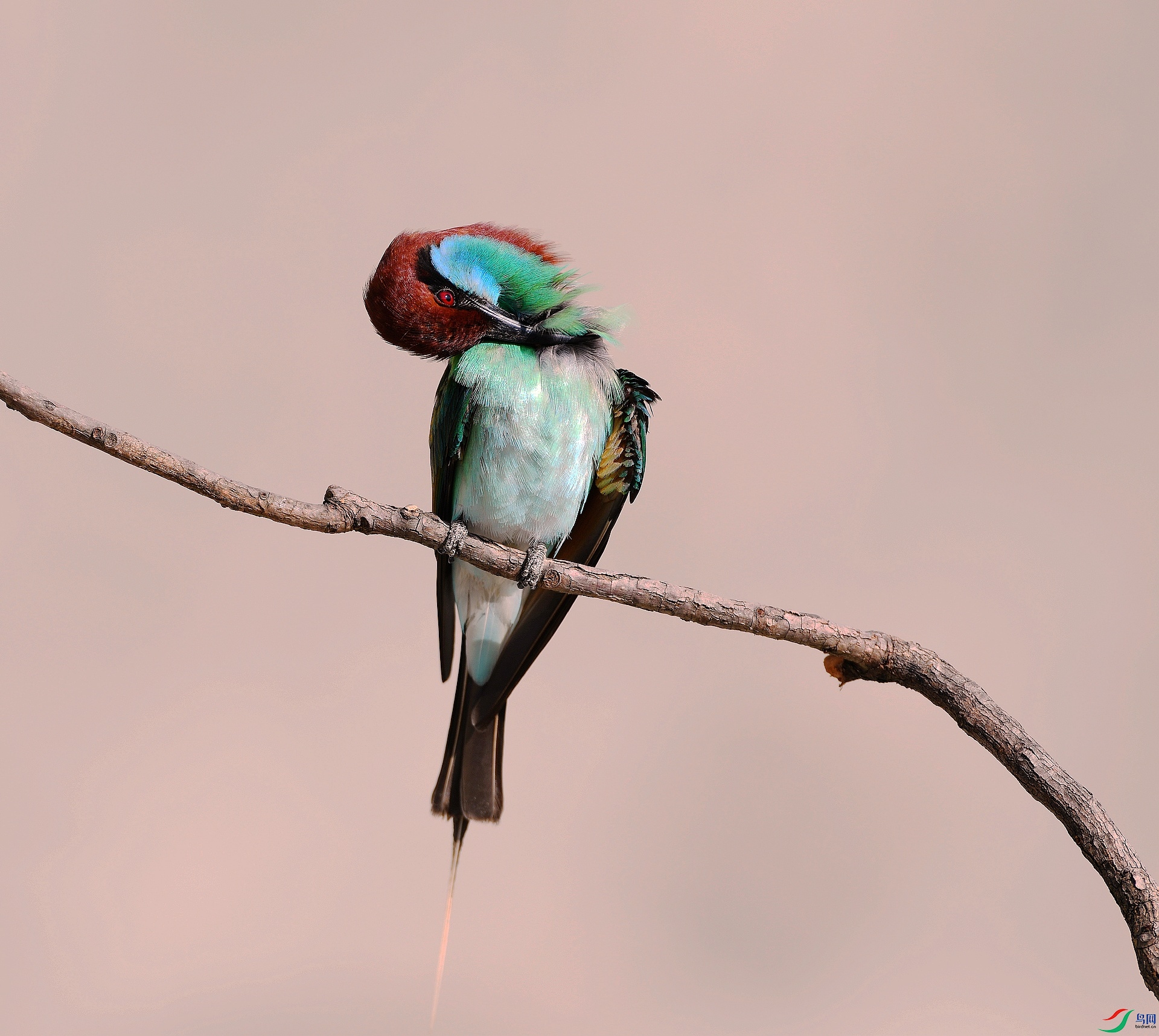 DSC_5873.jpg