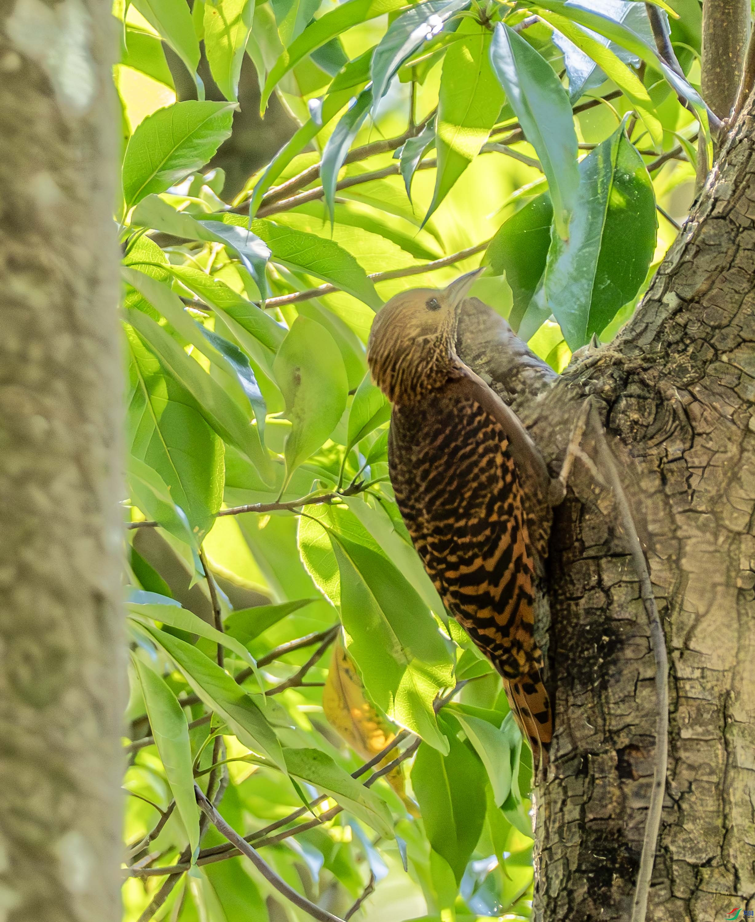 ����ľ��-02-19.jpg