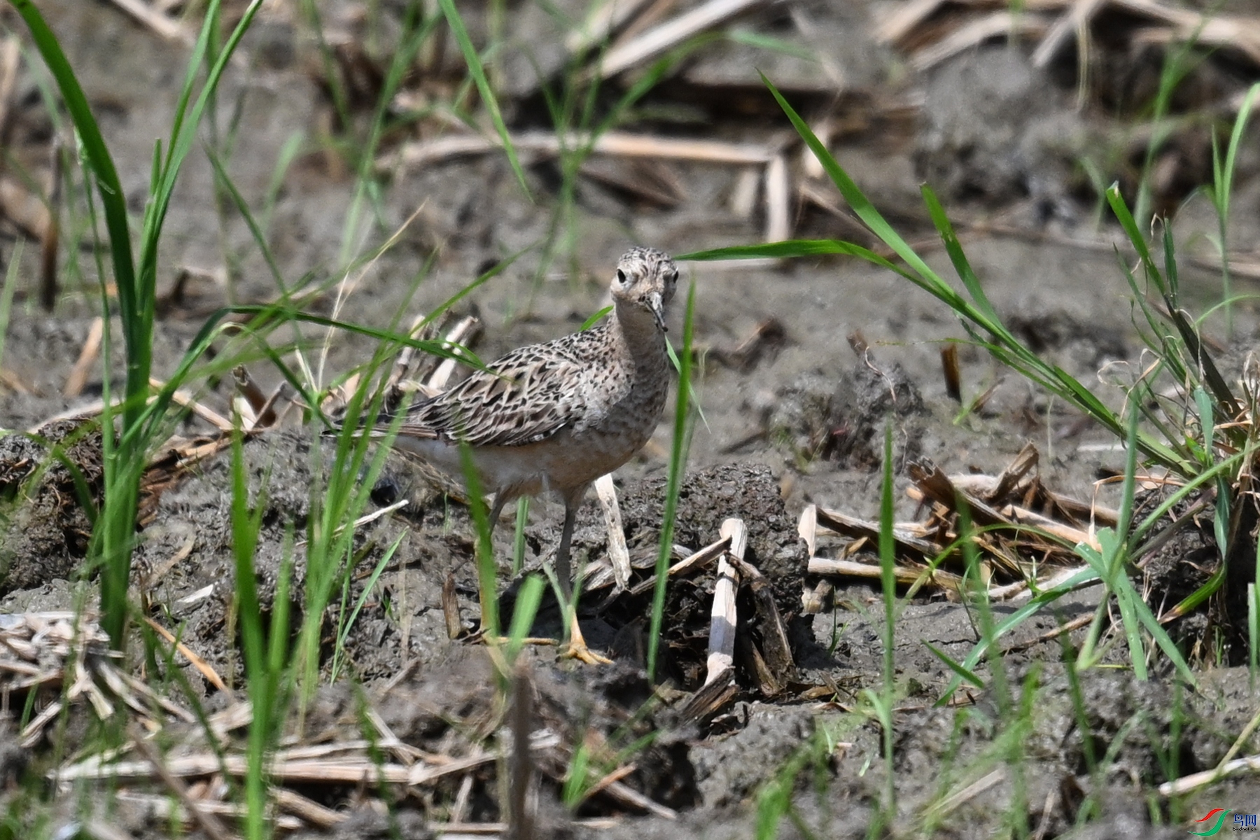 DSC_4836.JPG