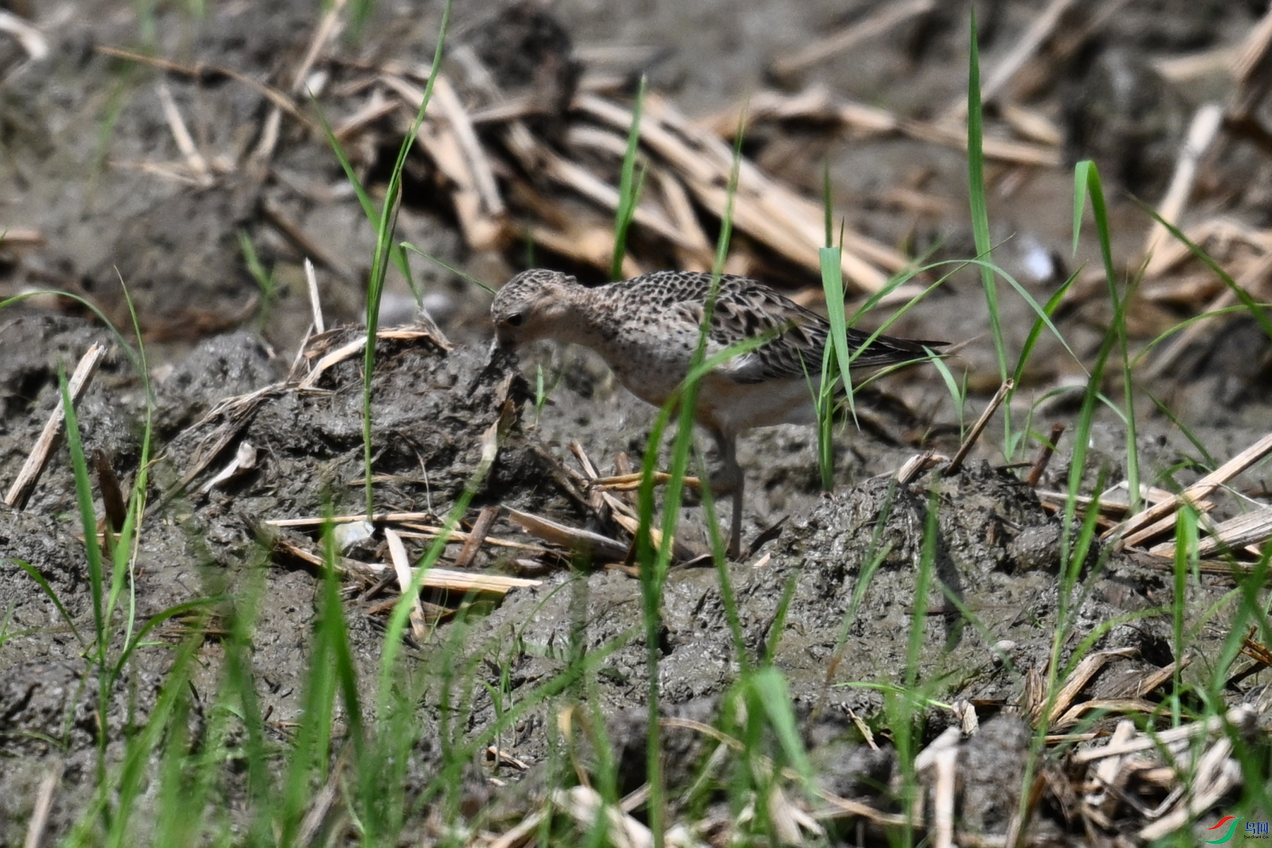 DSC_4840.JPG