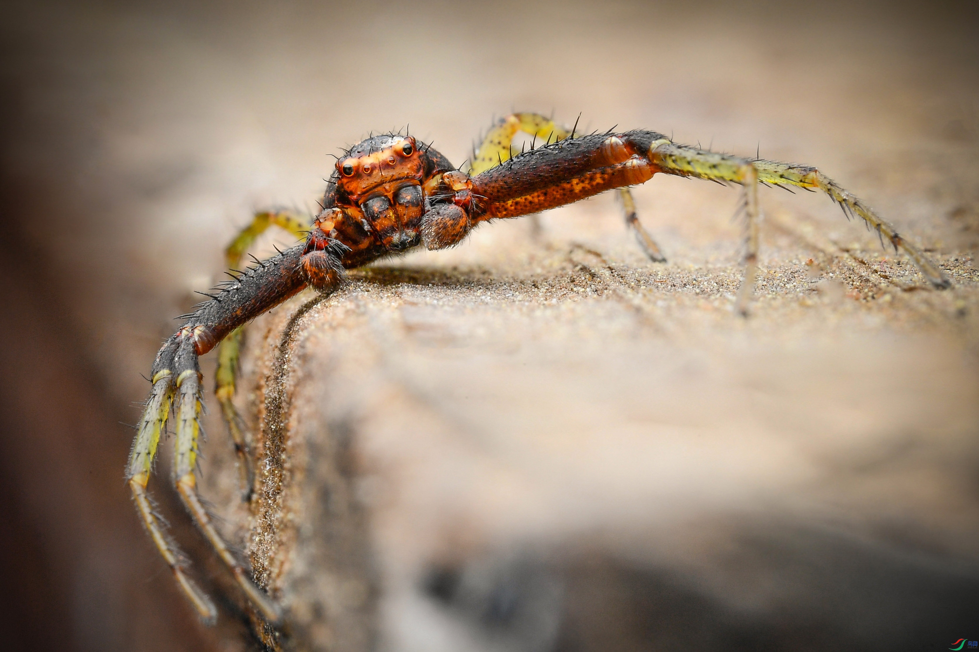 DSC_5753-0.jpg