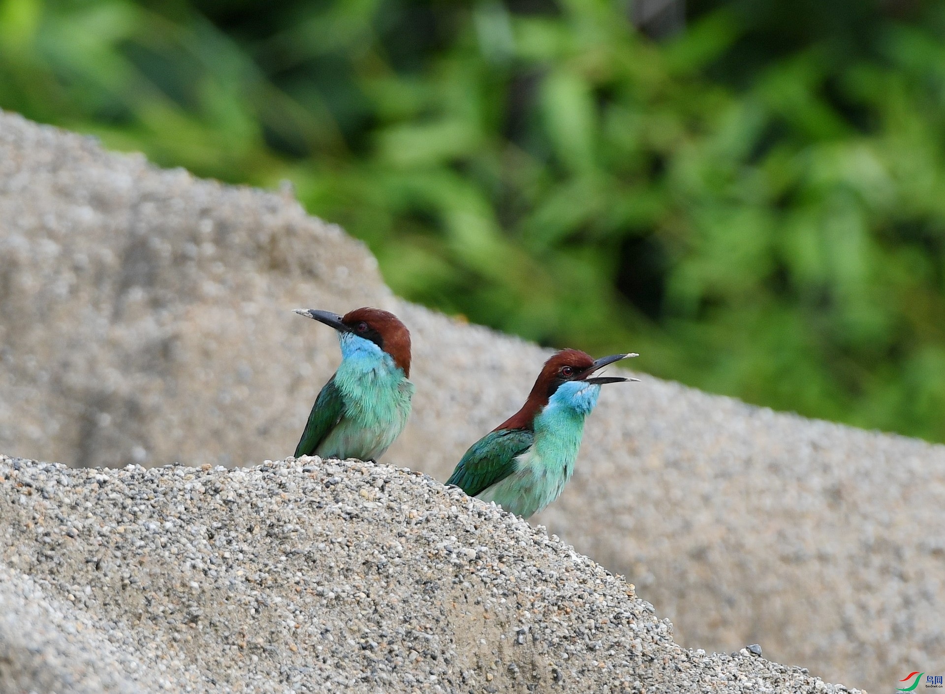 DSC_2713.jpg