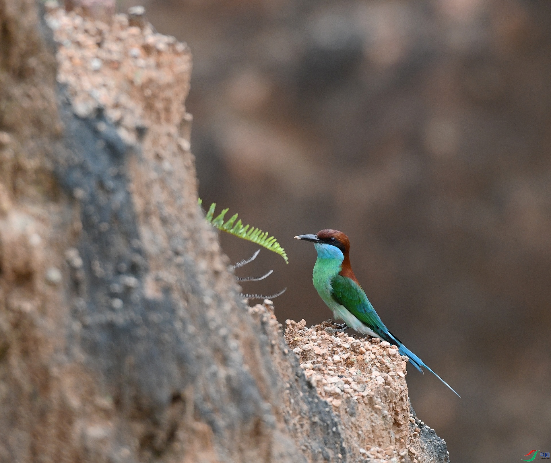 DSC_0454.jpg