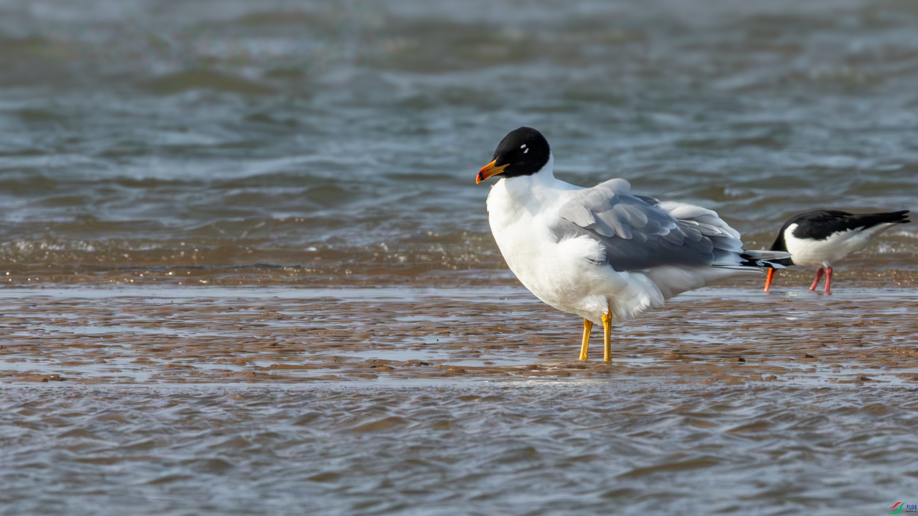 045A8136-1.jpg
