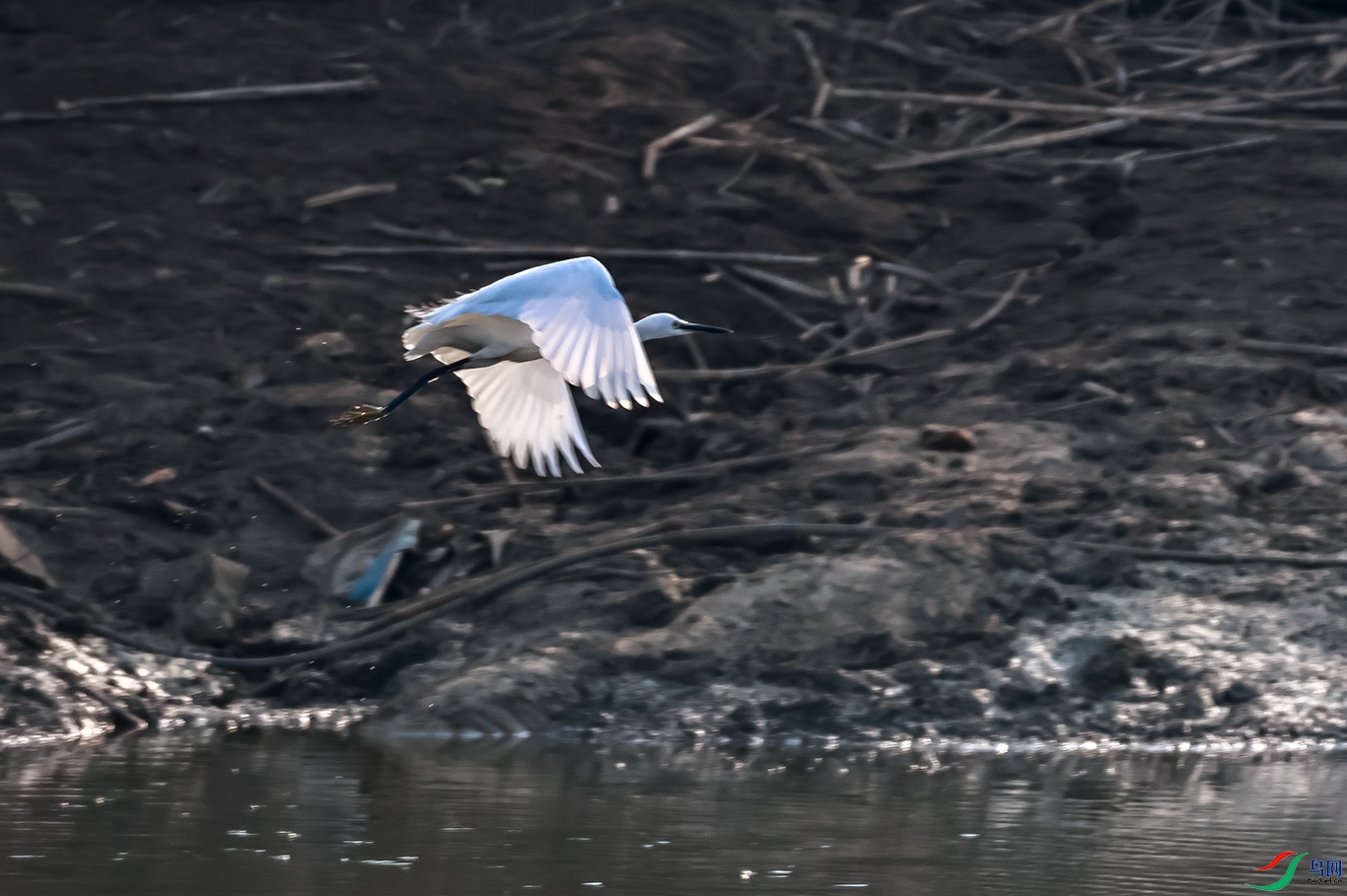 0J2A0643-0.jpg