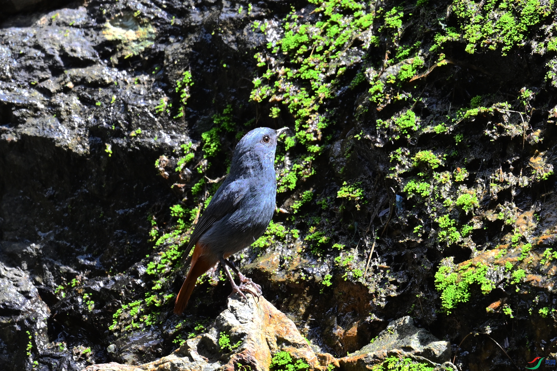 DSC_2250.JPG