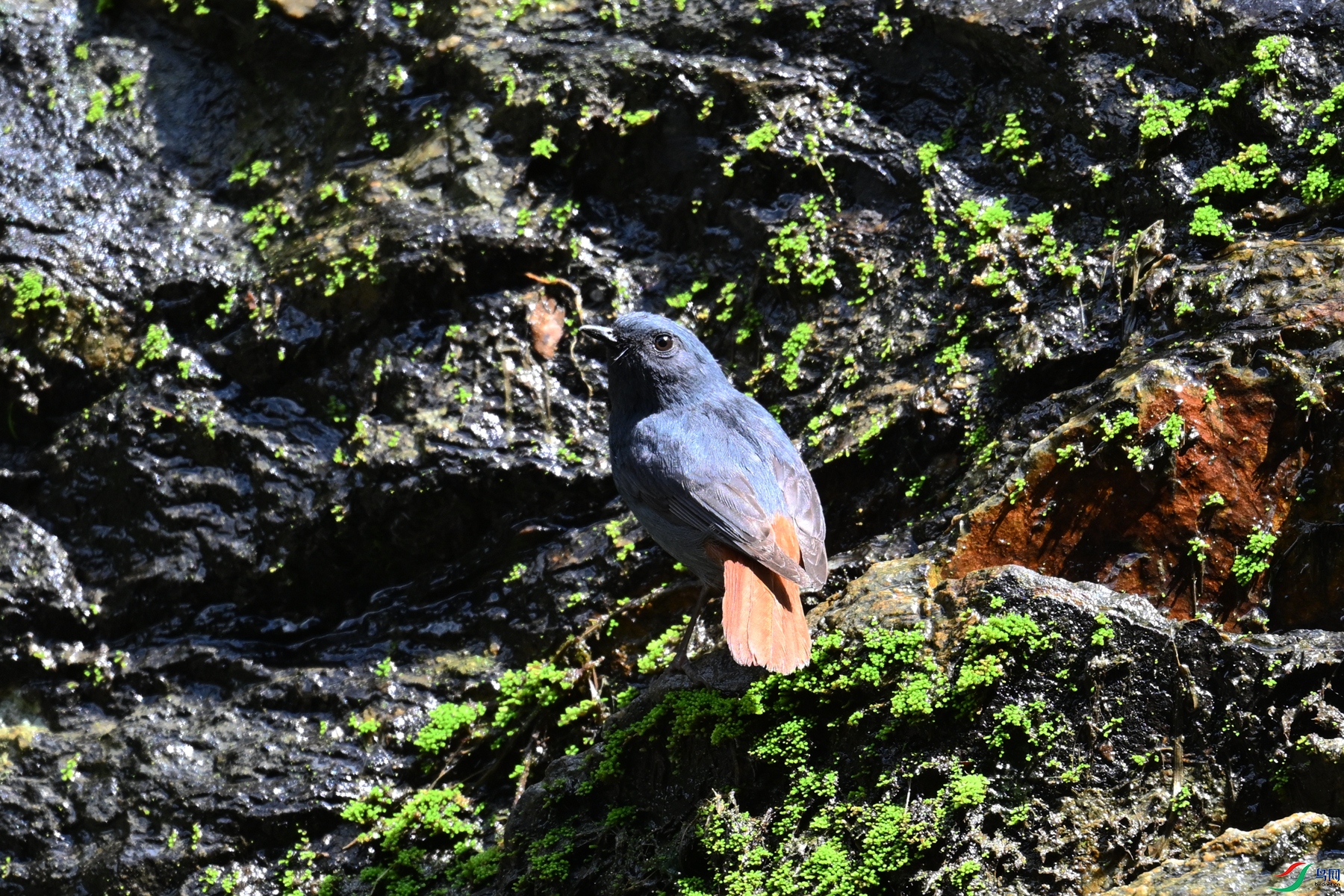 DSC_2254.JPG