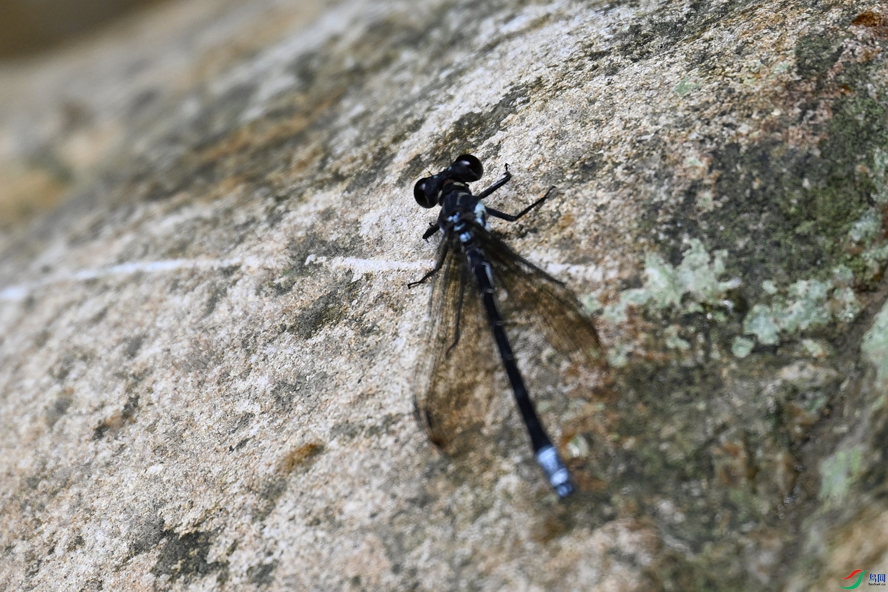 DSC_2270.JPG