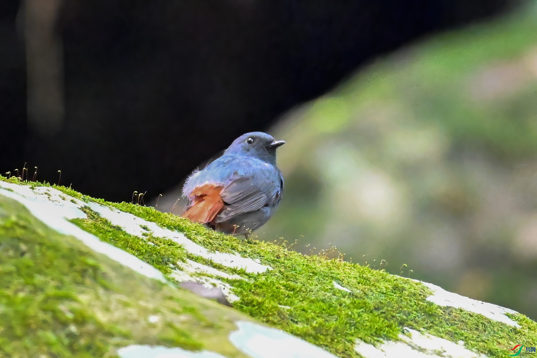 DSC_2313.JPG