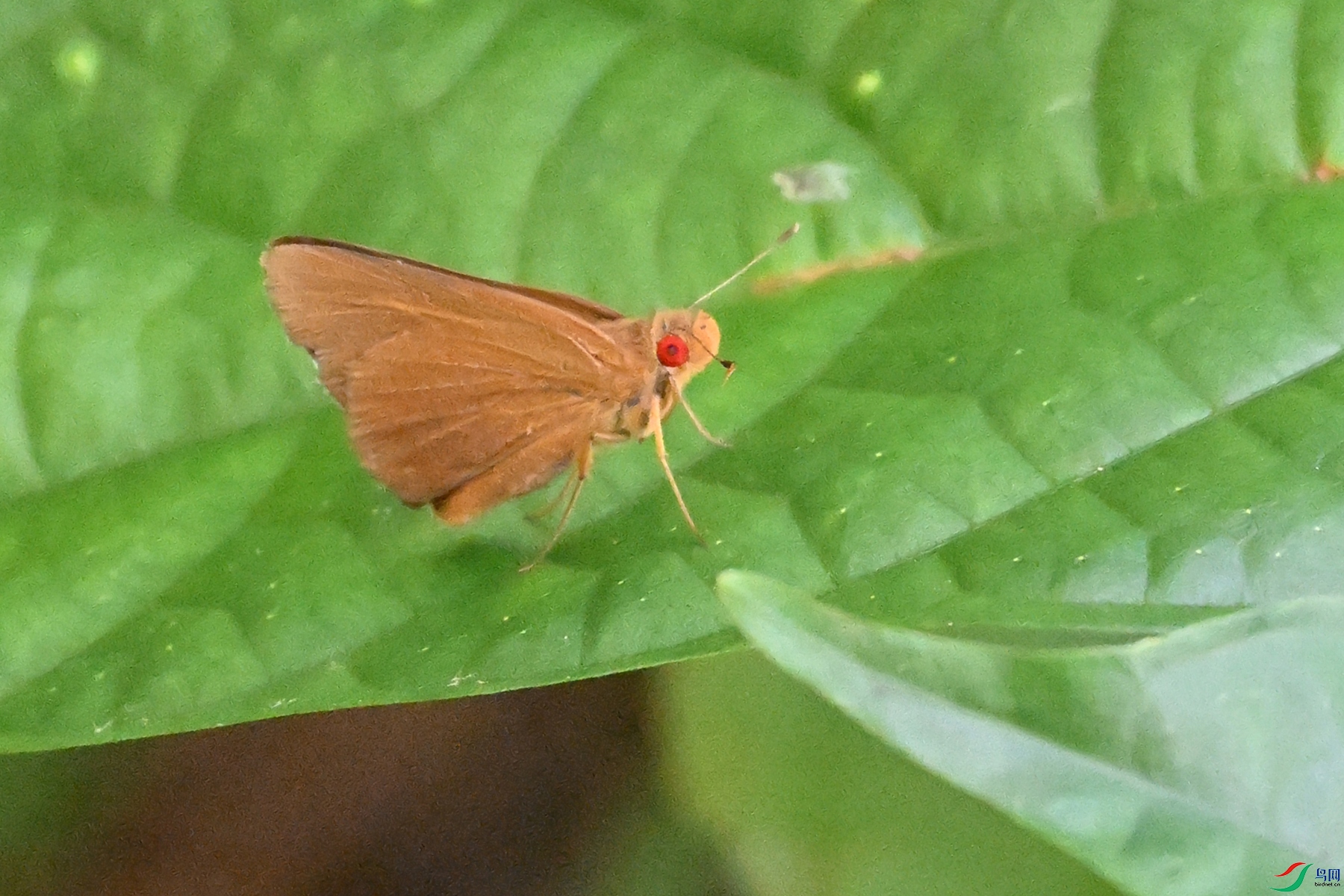 DSC_2337.JPG