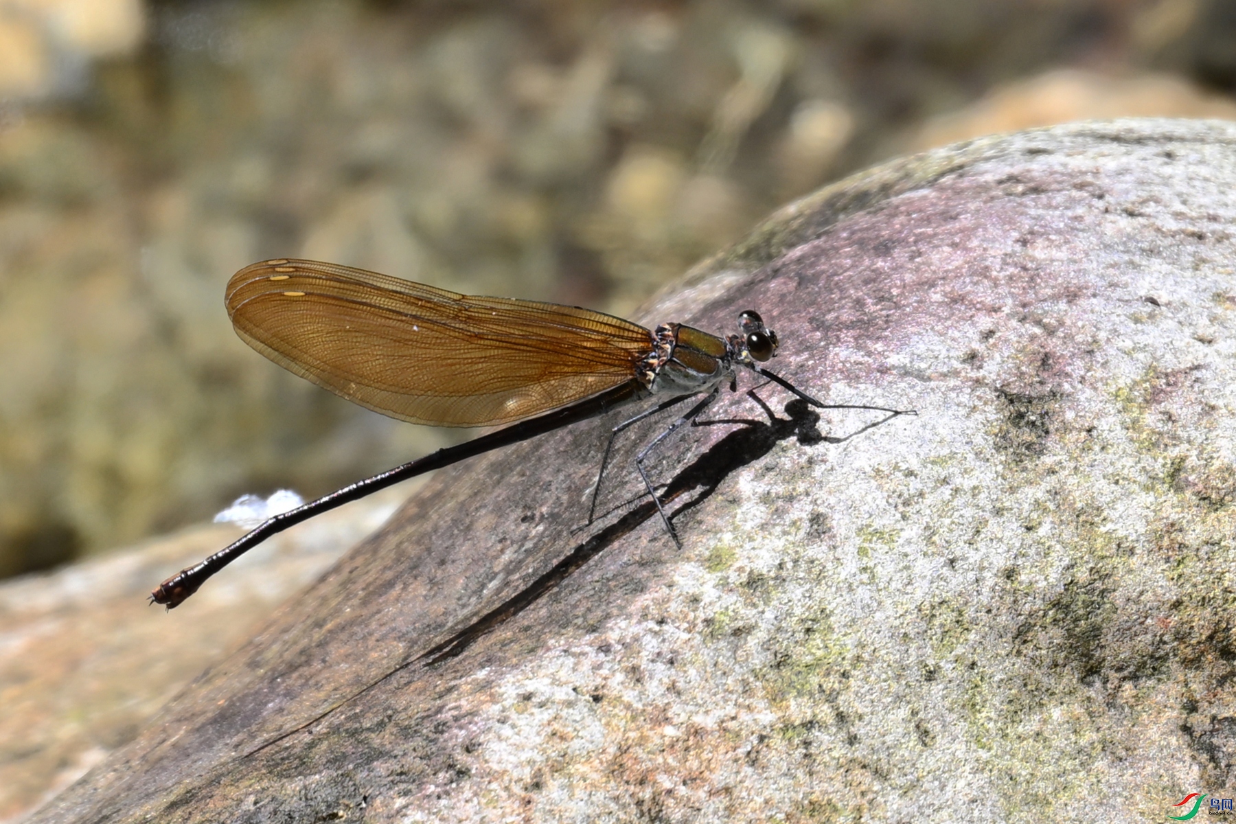 DSC_2312.JPG