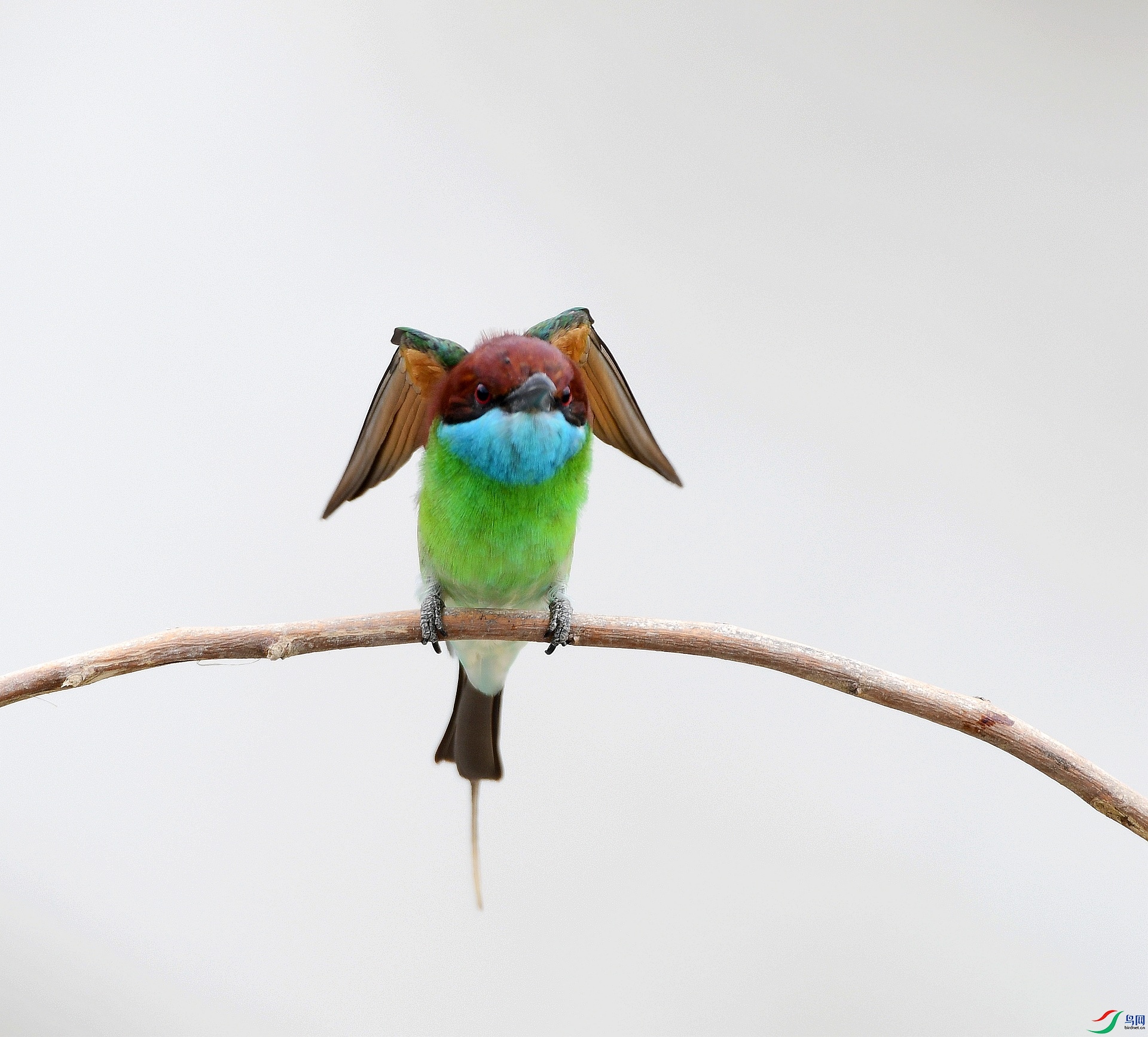 DSC_3904.jpg