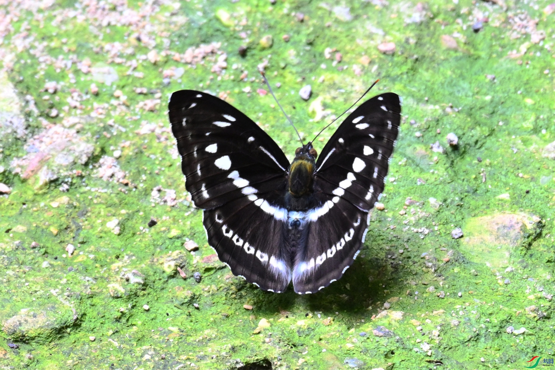 DSC_2328.JPG