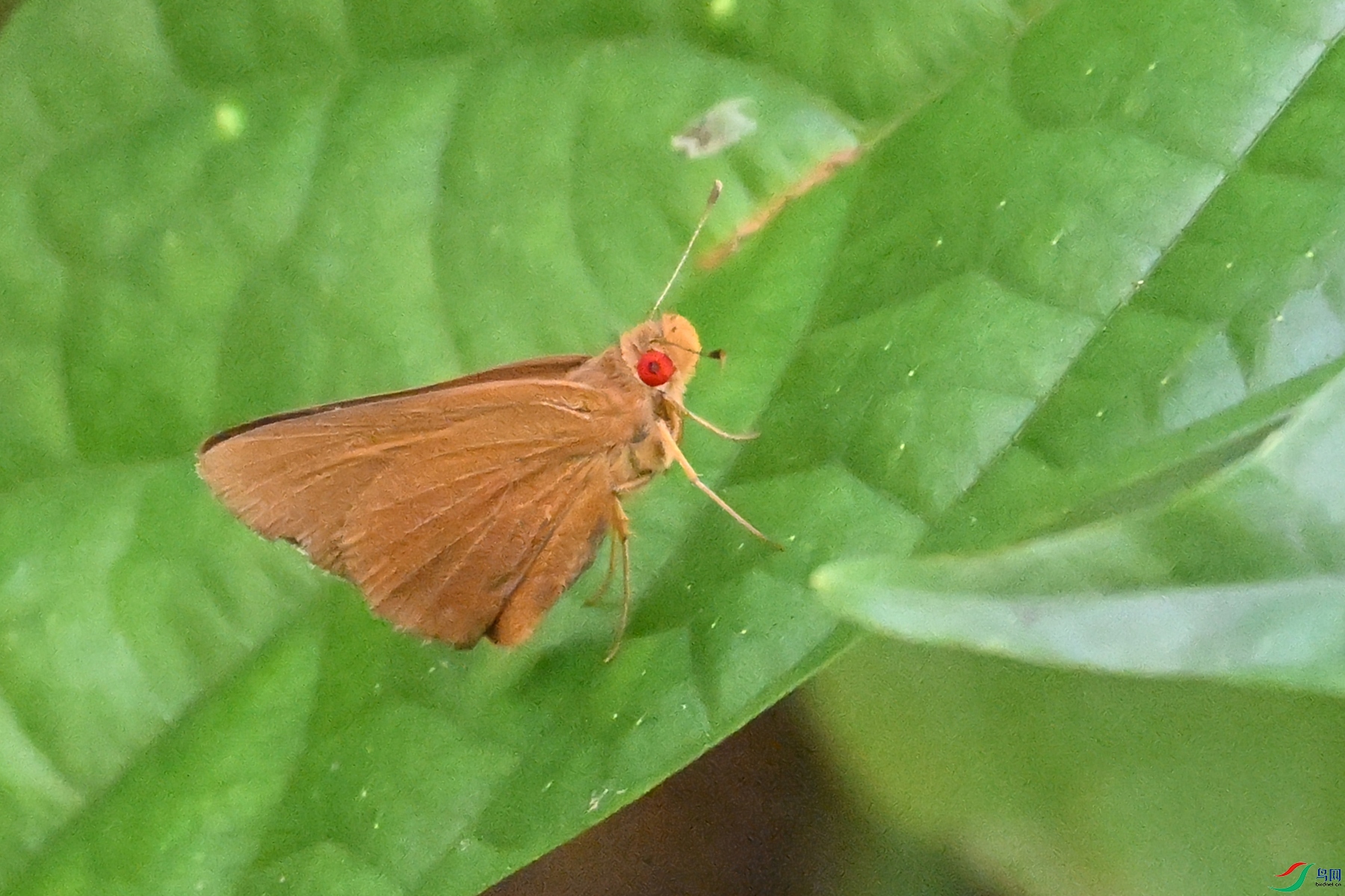 DSC_2340.JPG