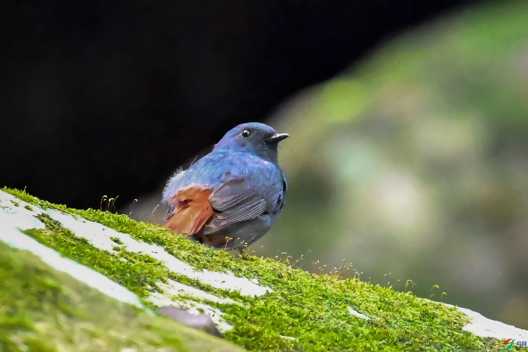 DSC_2314.JPG