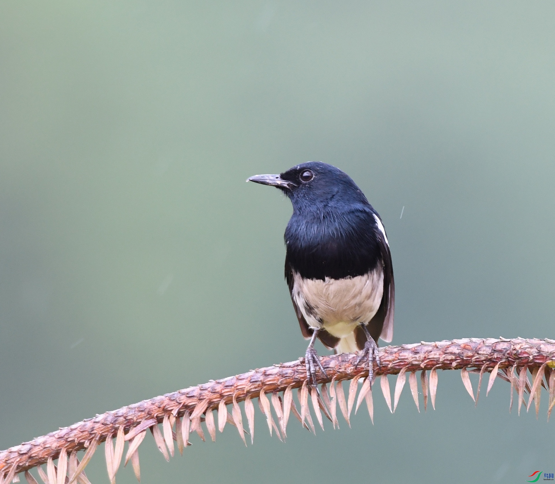 DSC_1500.jpg