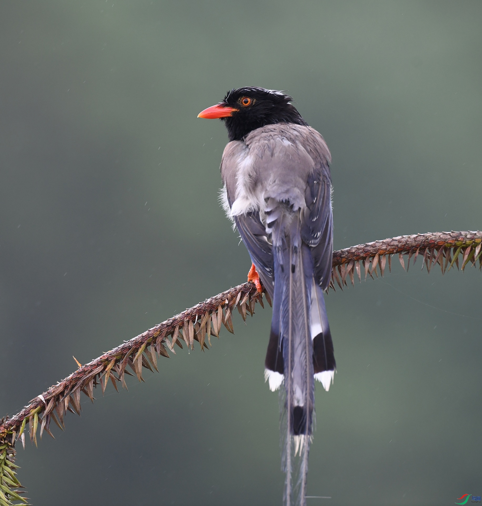 DSC_2166.jpg