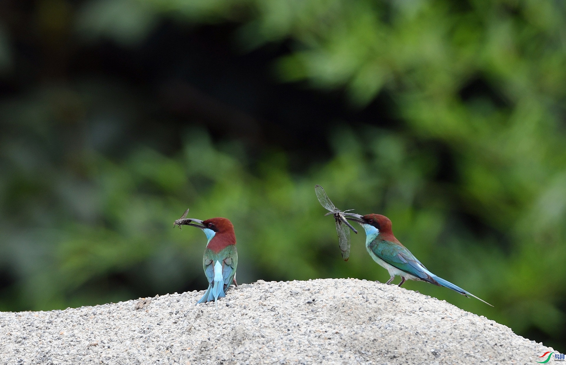 DSC_0357.jpg