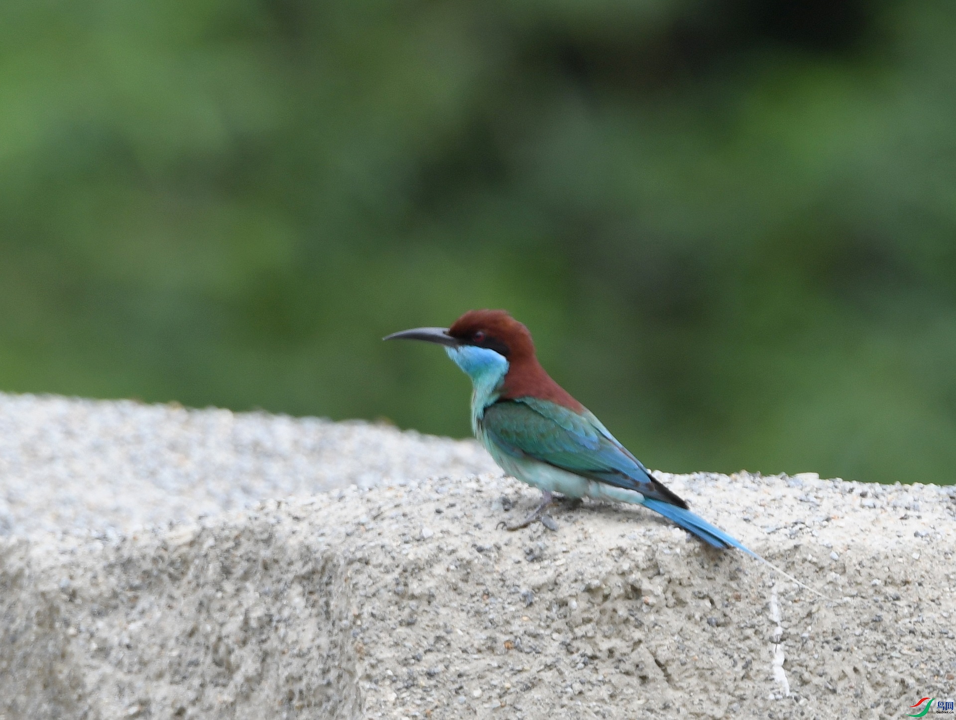 DSC_0323.jpg