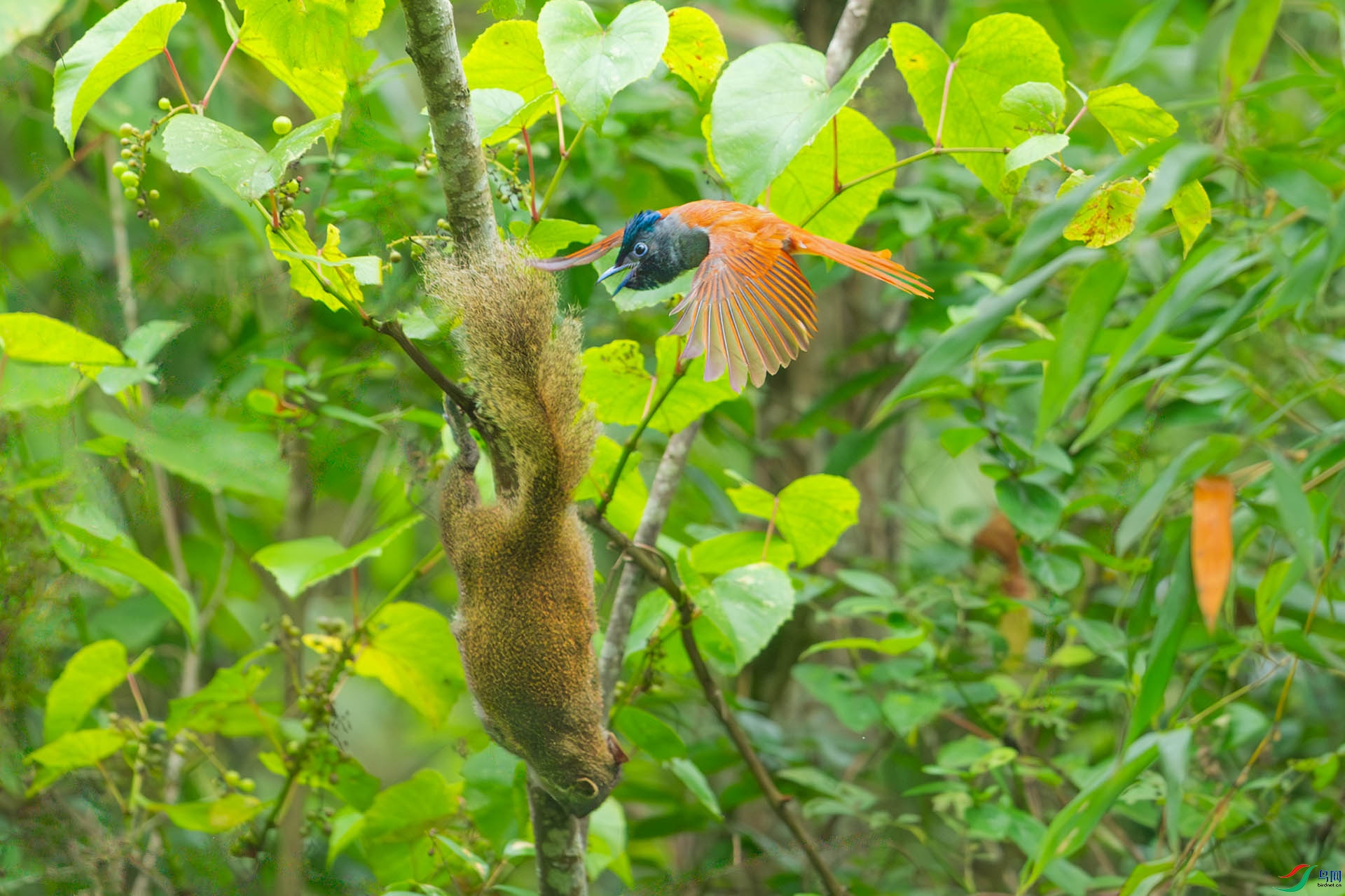 DSC_1894.jpg