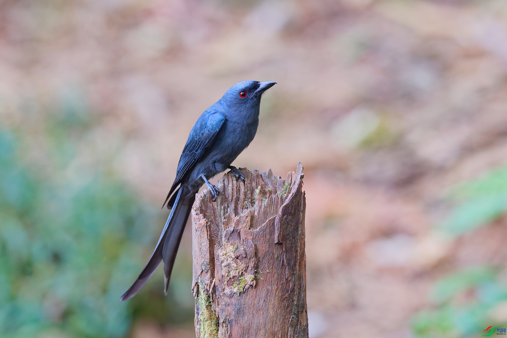 DSC_5968_DxO_DxO.jpga.jpg