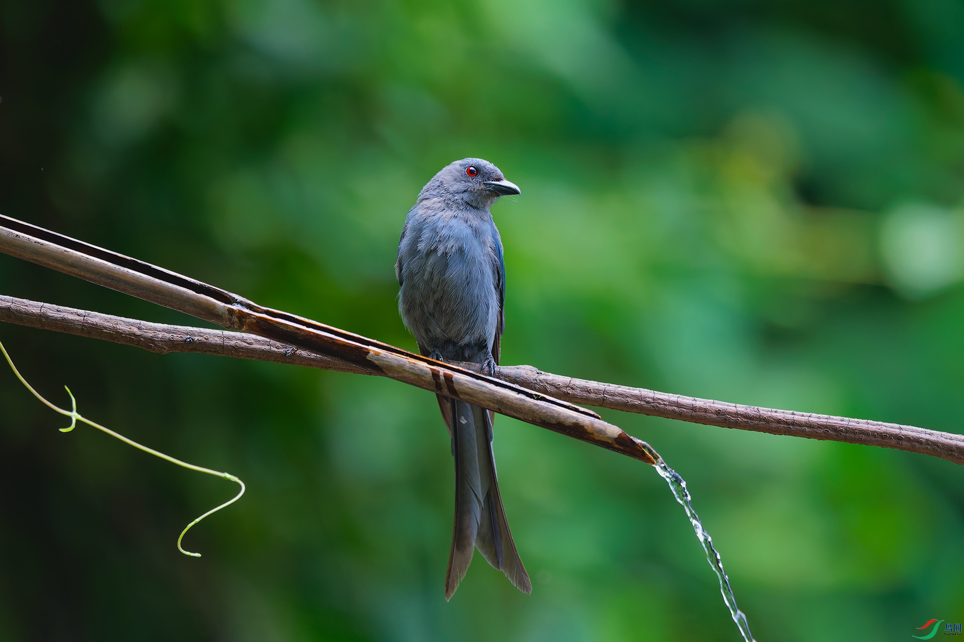 1DSC_1105_DxO_DxO.jpga.jpg