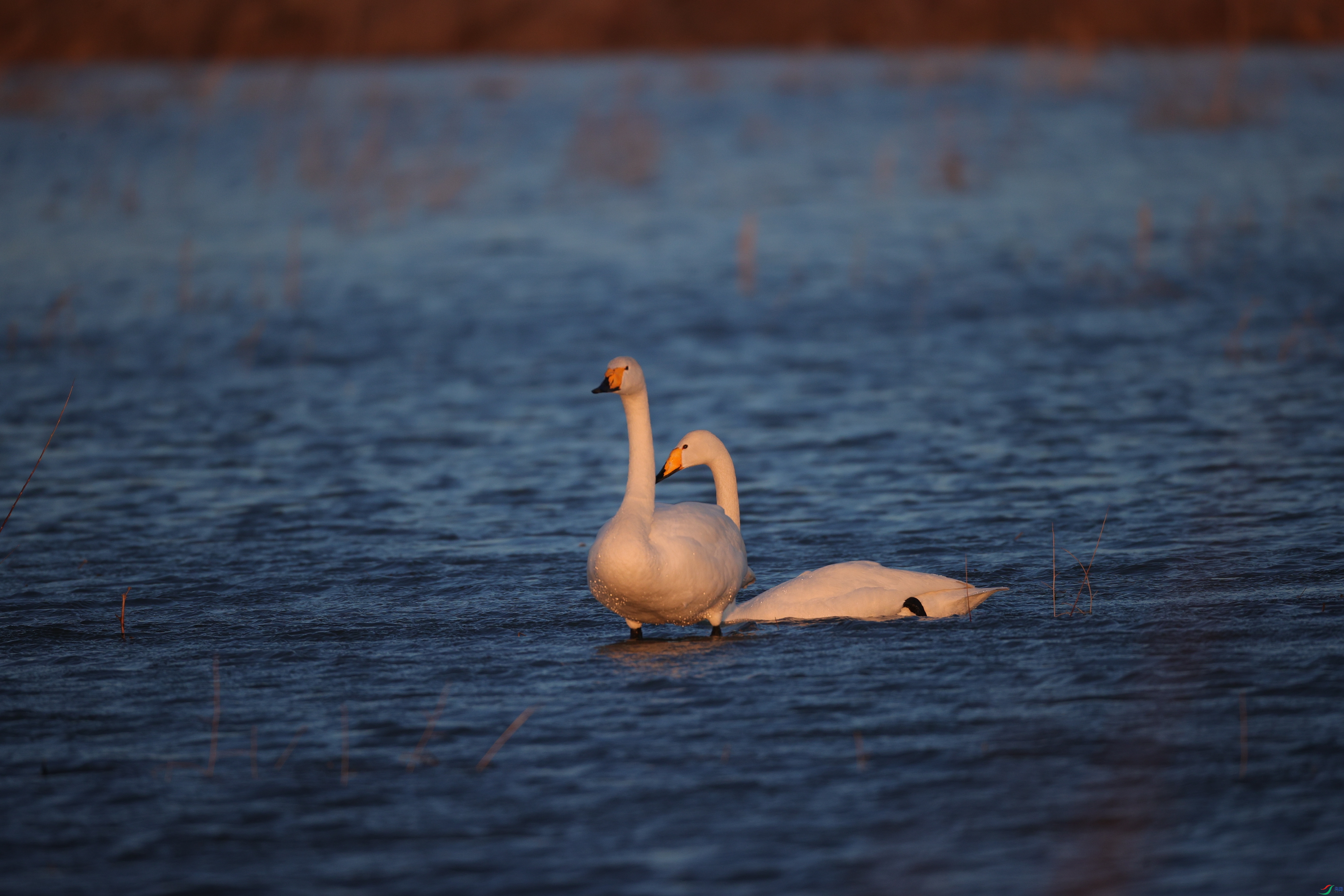 ����04