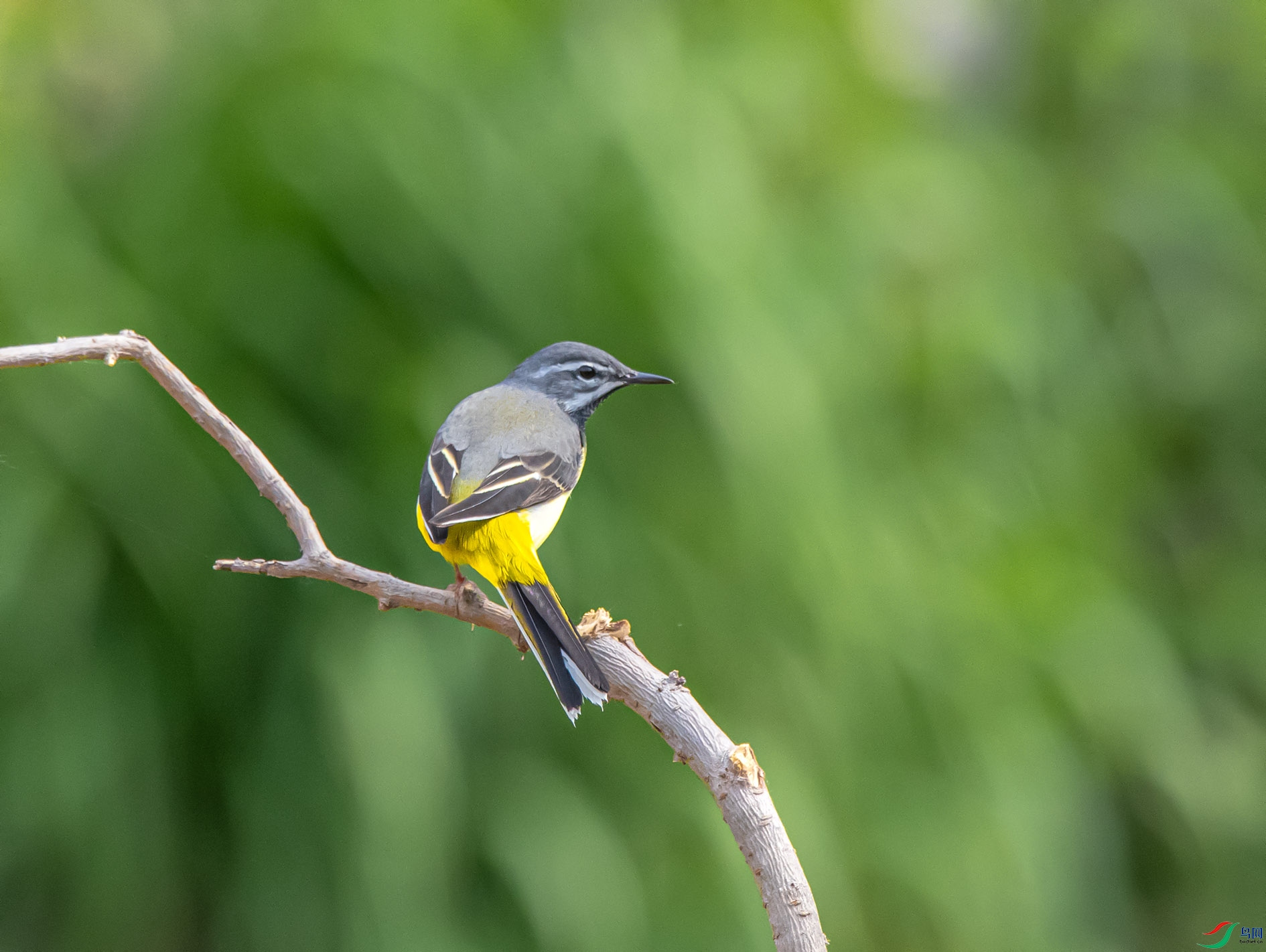 DSC_0636_��ͼ�� ����.jpg