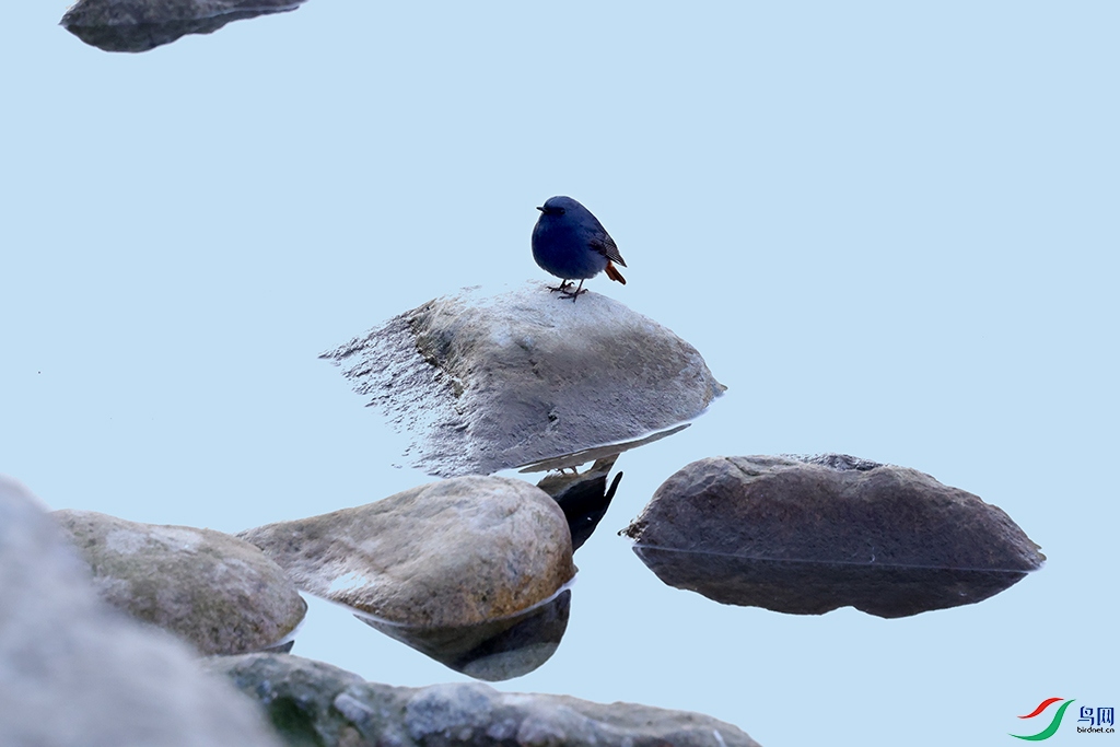 ��βˮ�