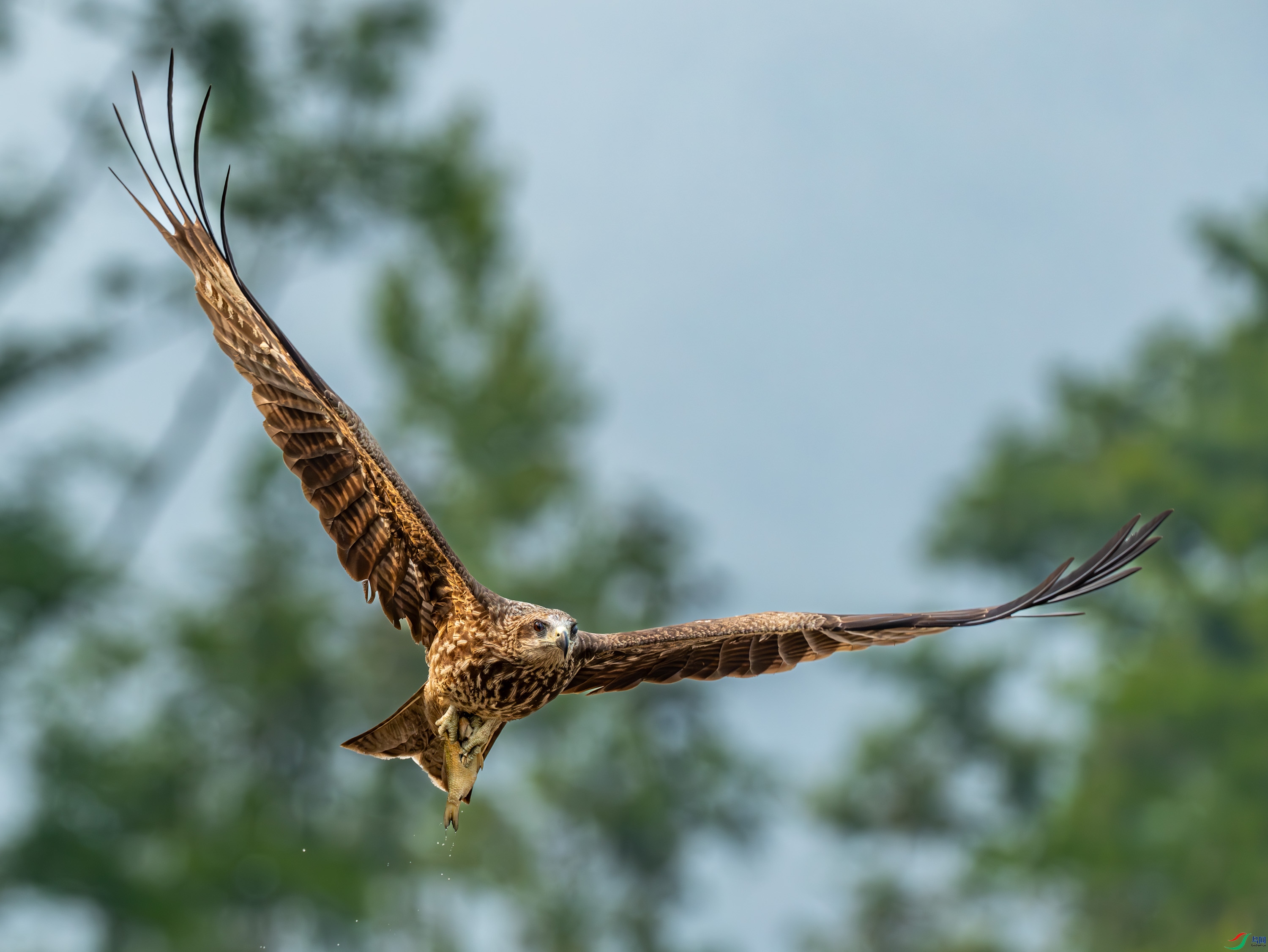 ��� (12 - 52).jpg