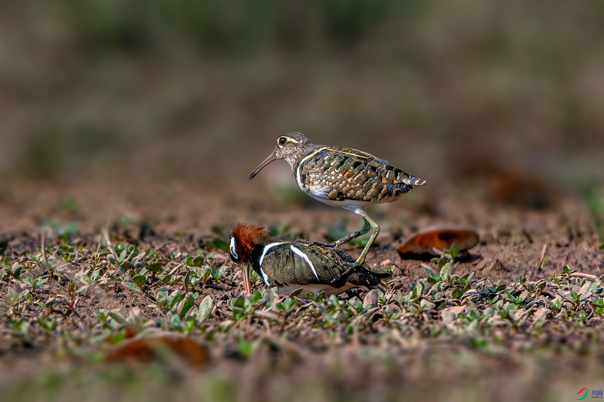 _AUU2195 ����(26.4.21).jpg