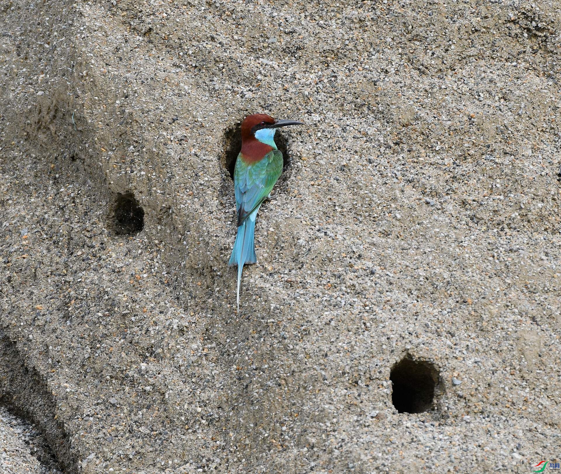 DSC_2653.jpg