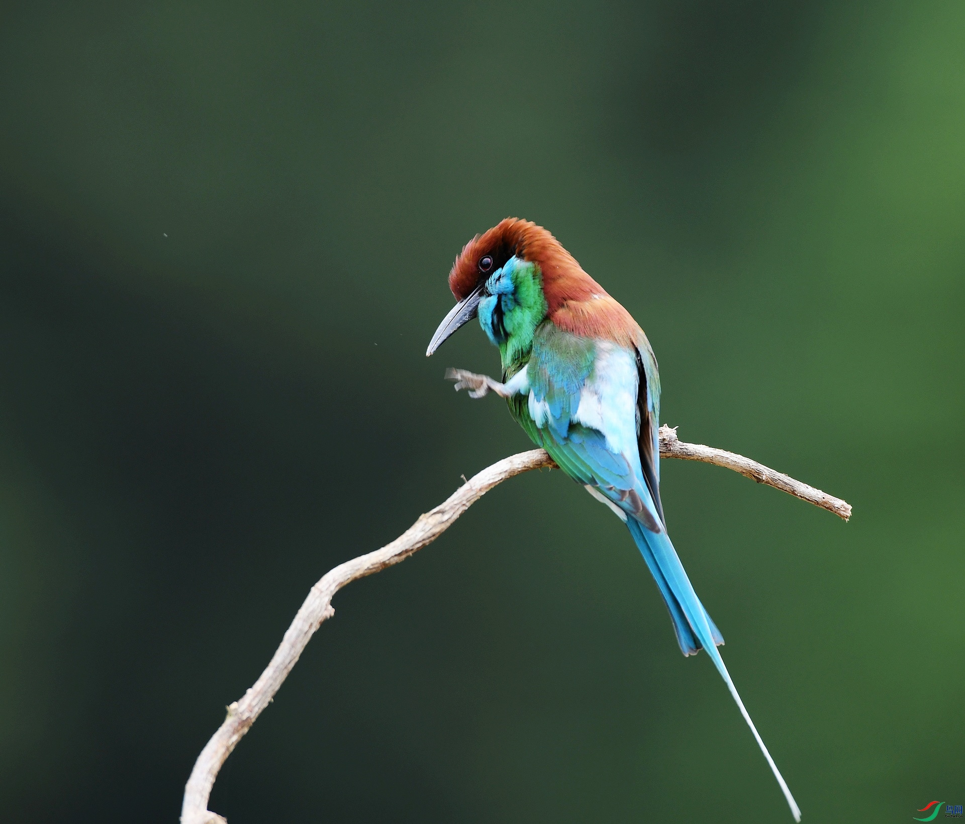 DSC_0748.jpg