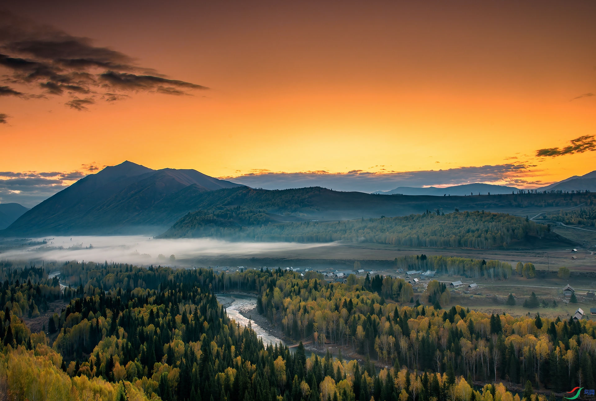 _DSC9646- ��ľ����.jpg