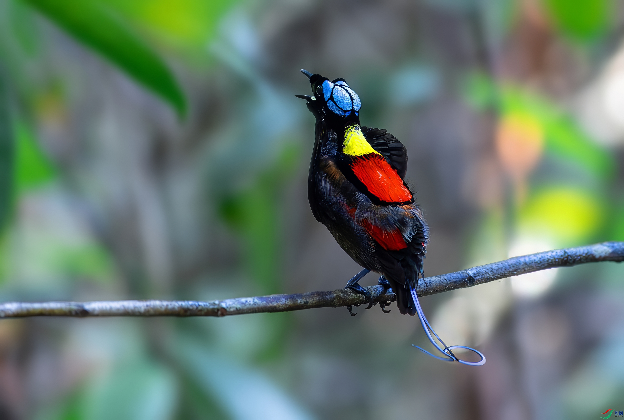 0L0A3253-topaz-denoise-sharpen.jpeg