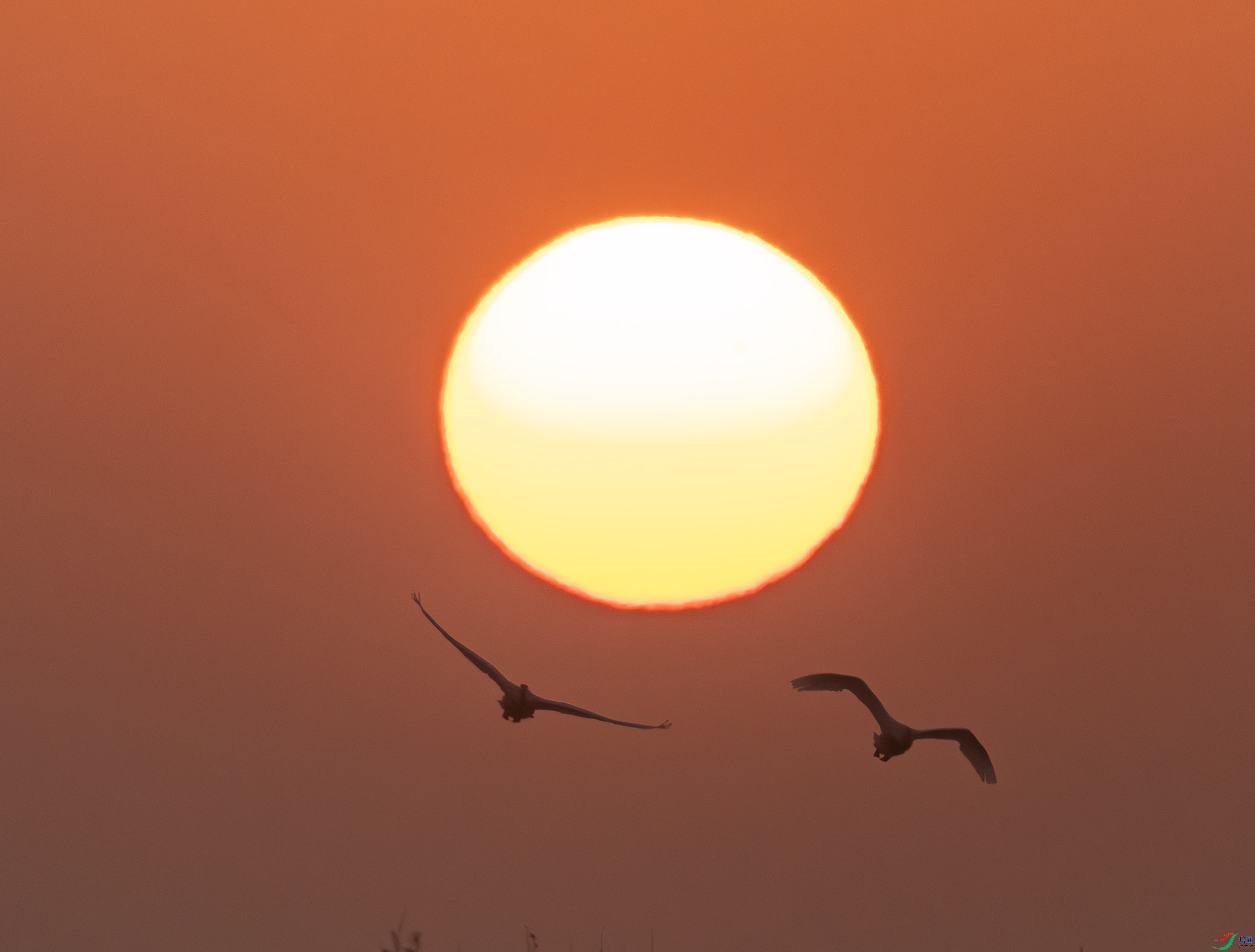 �ճ�-01-32.jpg