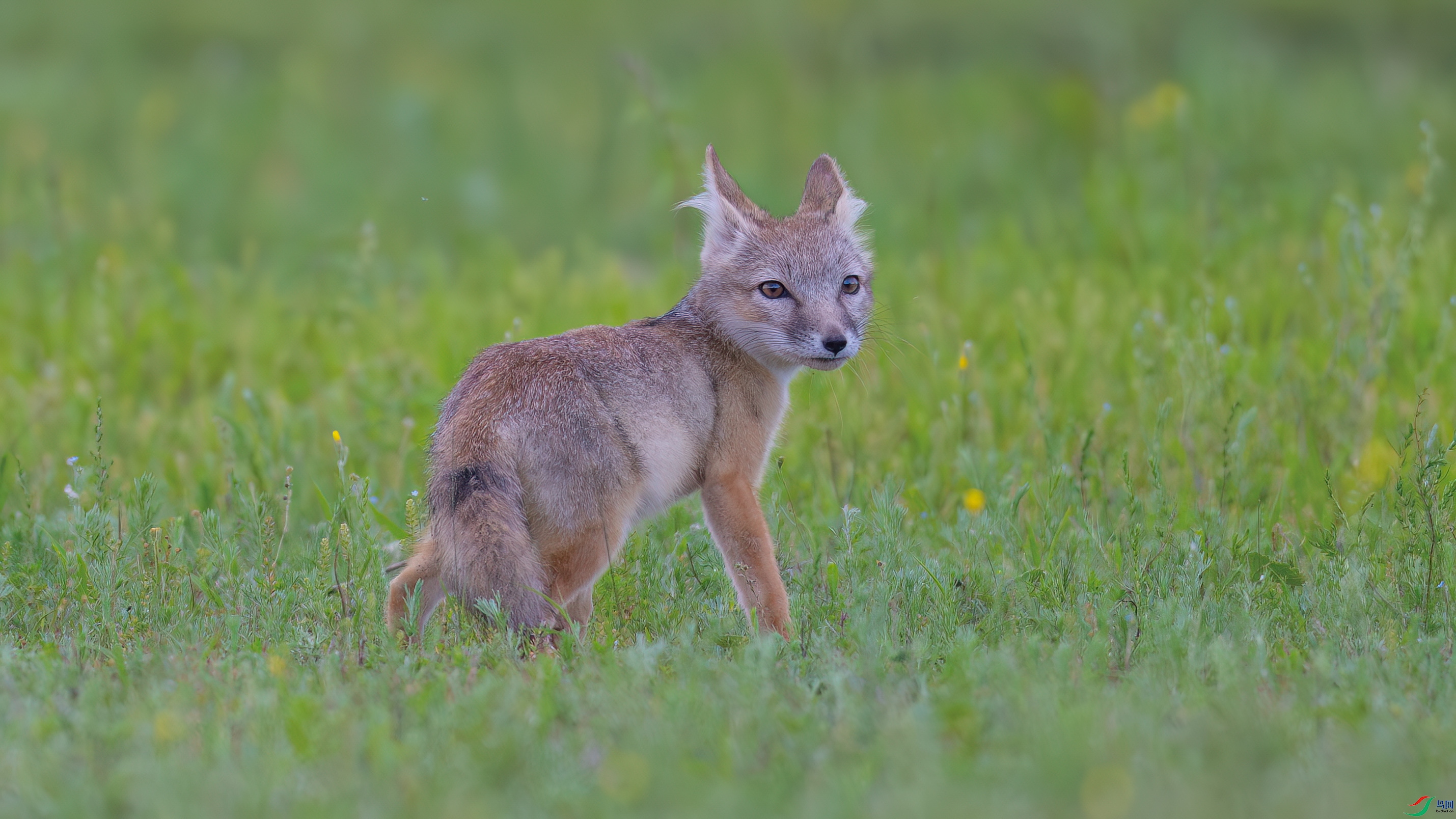 DSC_4012.jpg