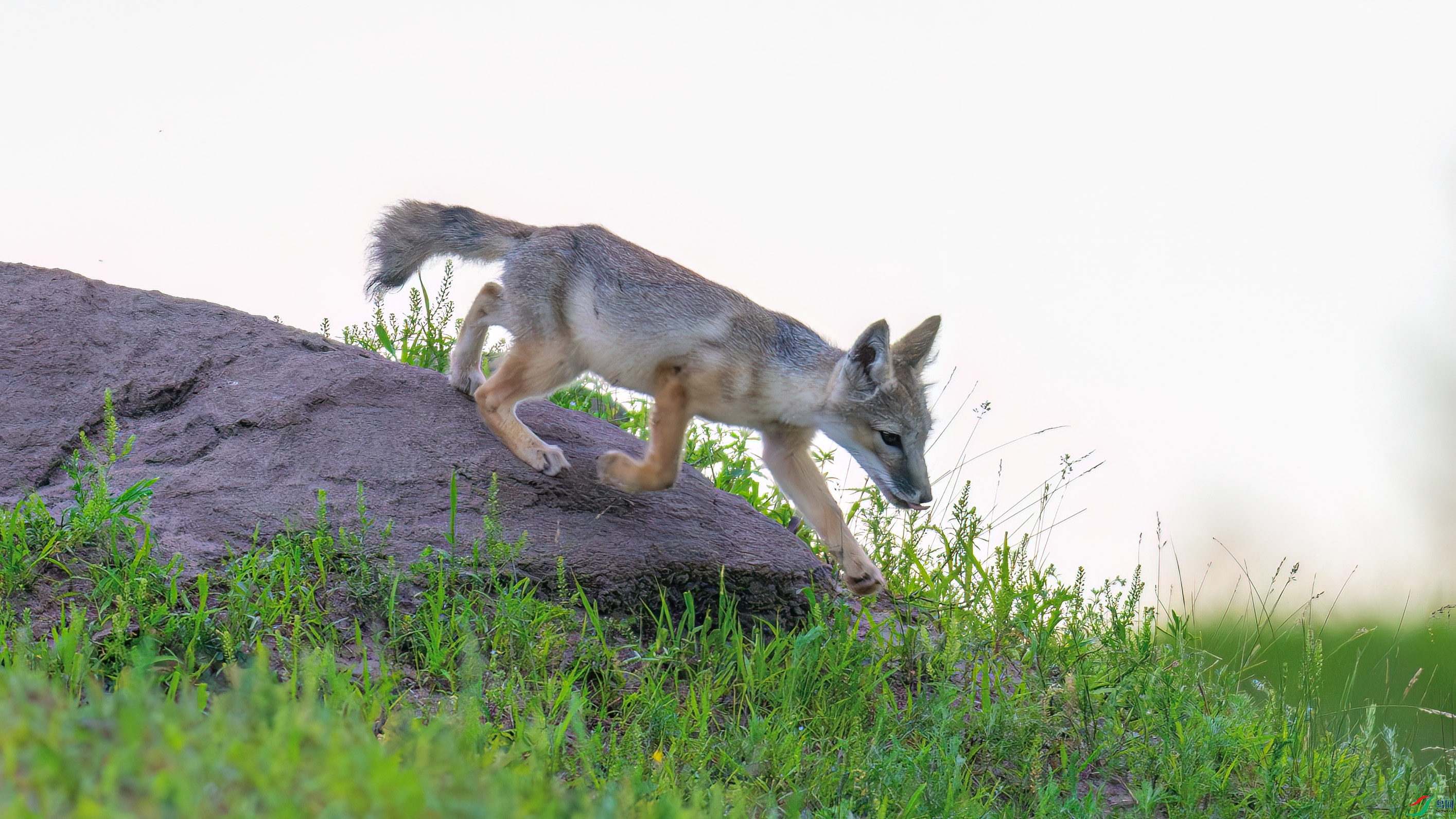 DSC_4067.jpg