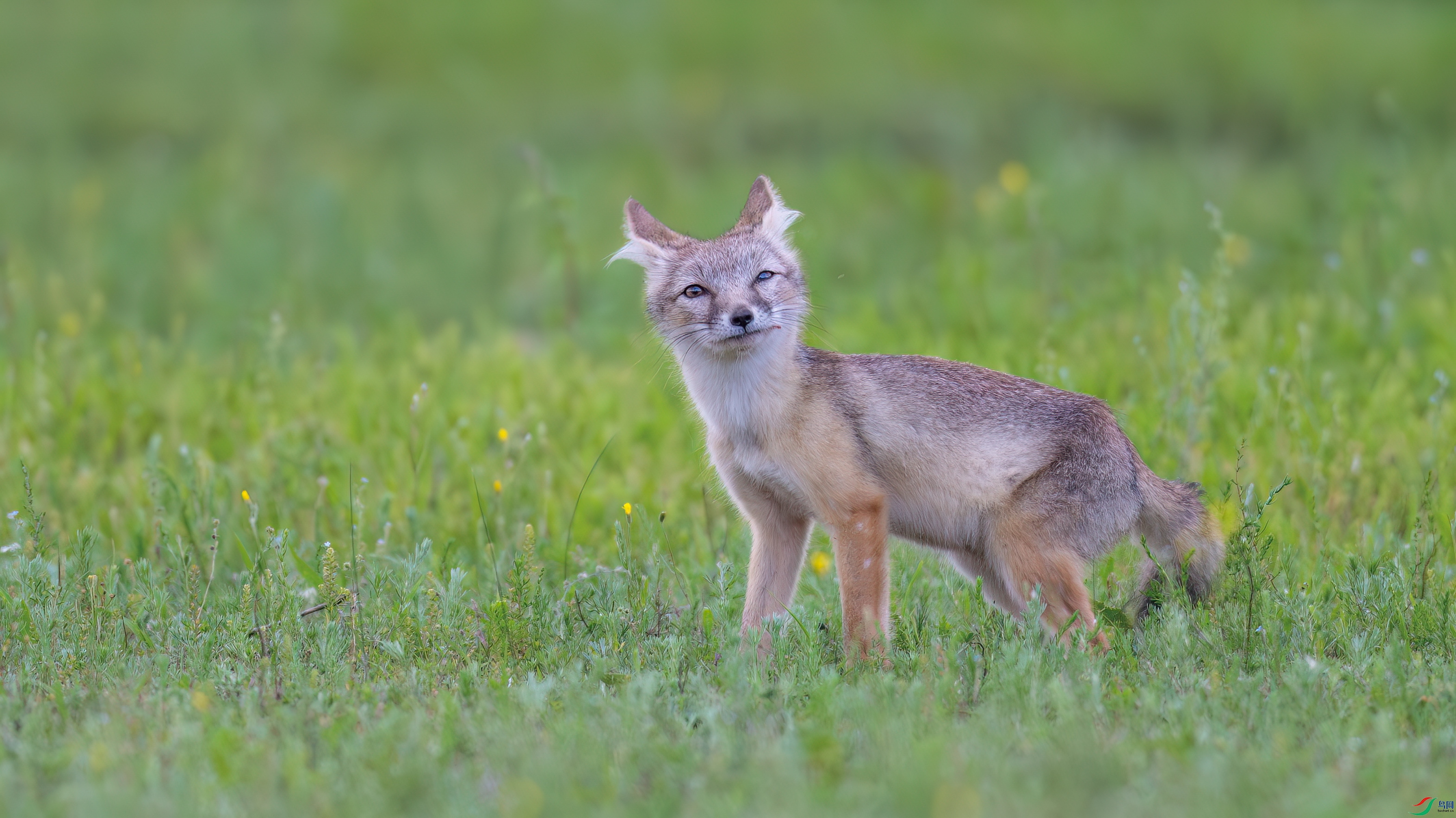 DSC_4010.jpg