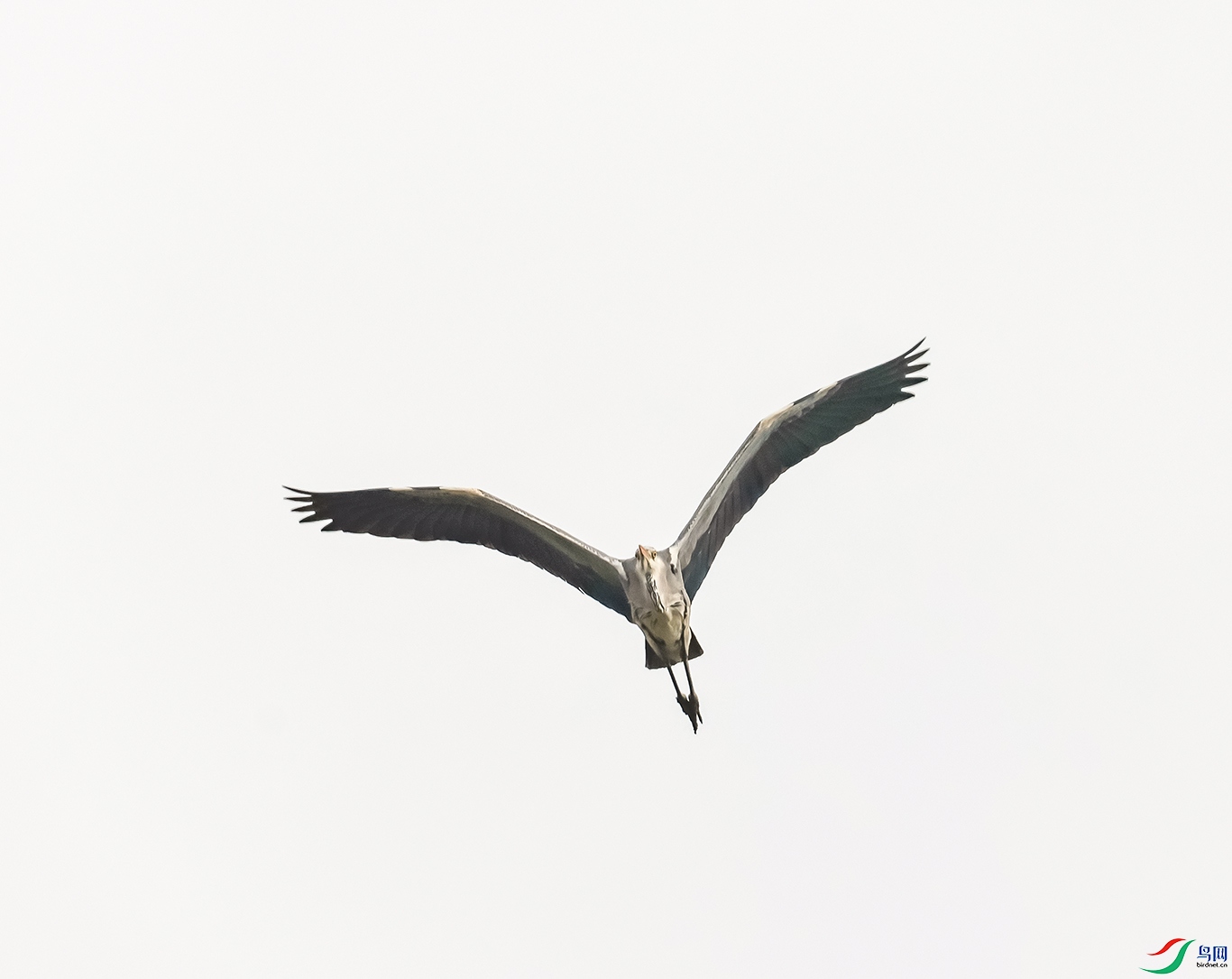 0J2A0674-0.jpg