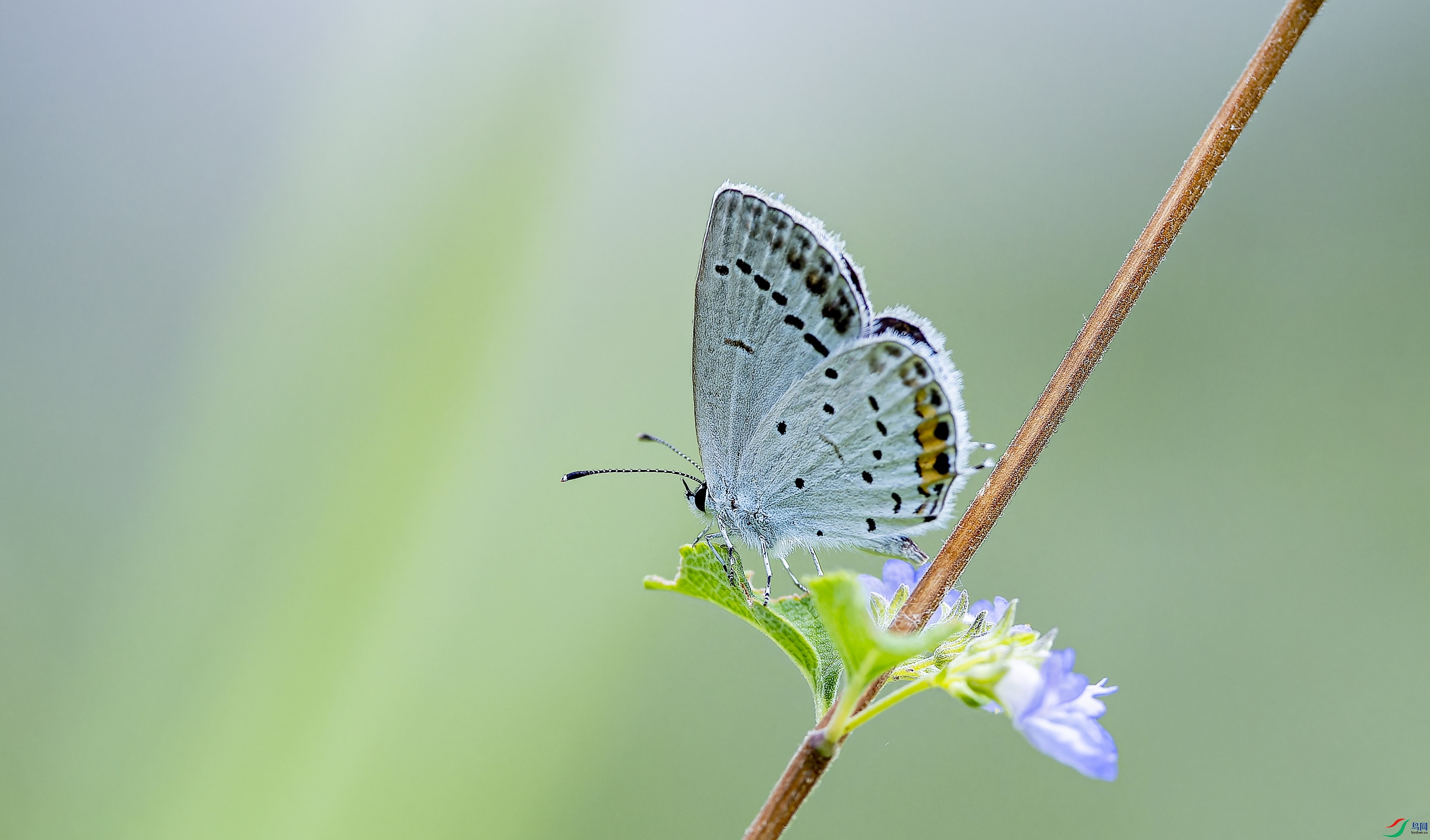 ��β���ҵ� (244)-01.jpg